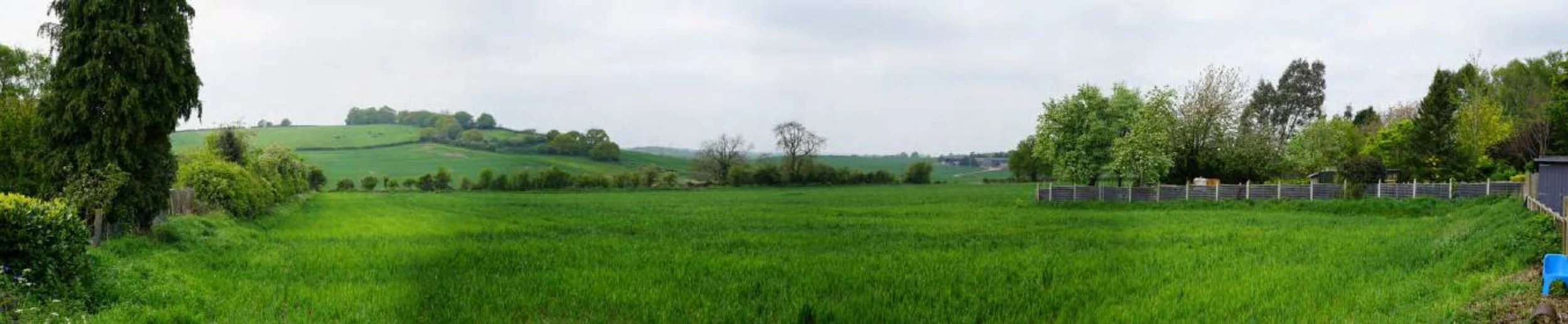 Photograph of the existing site to the west of Austrey Road, showing a green grass field.