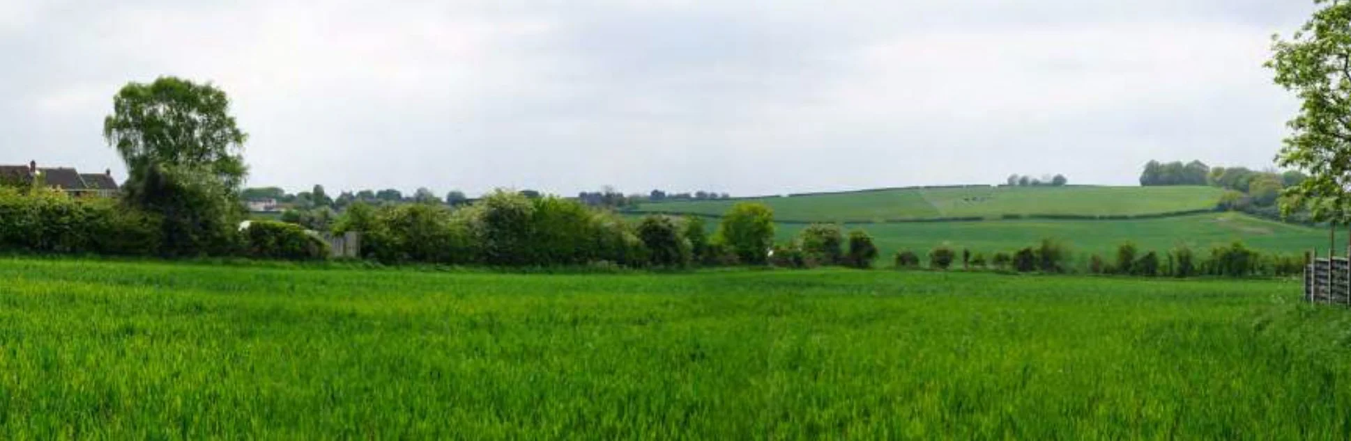 Photograph of the existing site to the west of Austrey Road, with a line of trees and shrubbery in the middle, and green hills in the background.