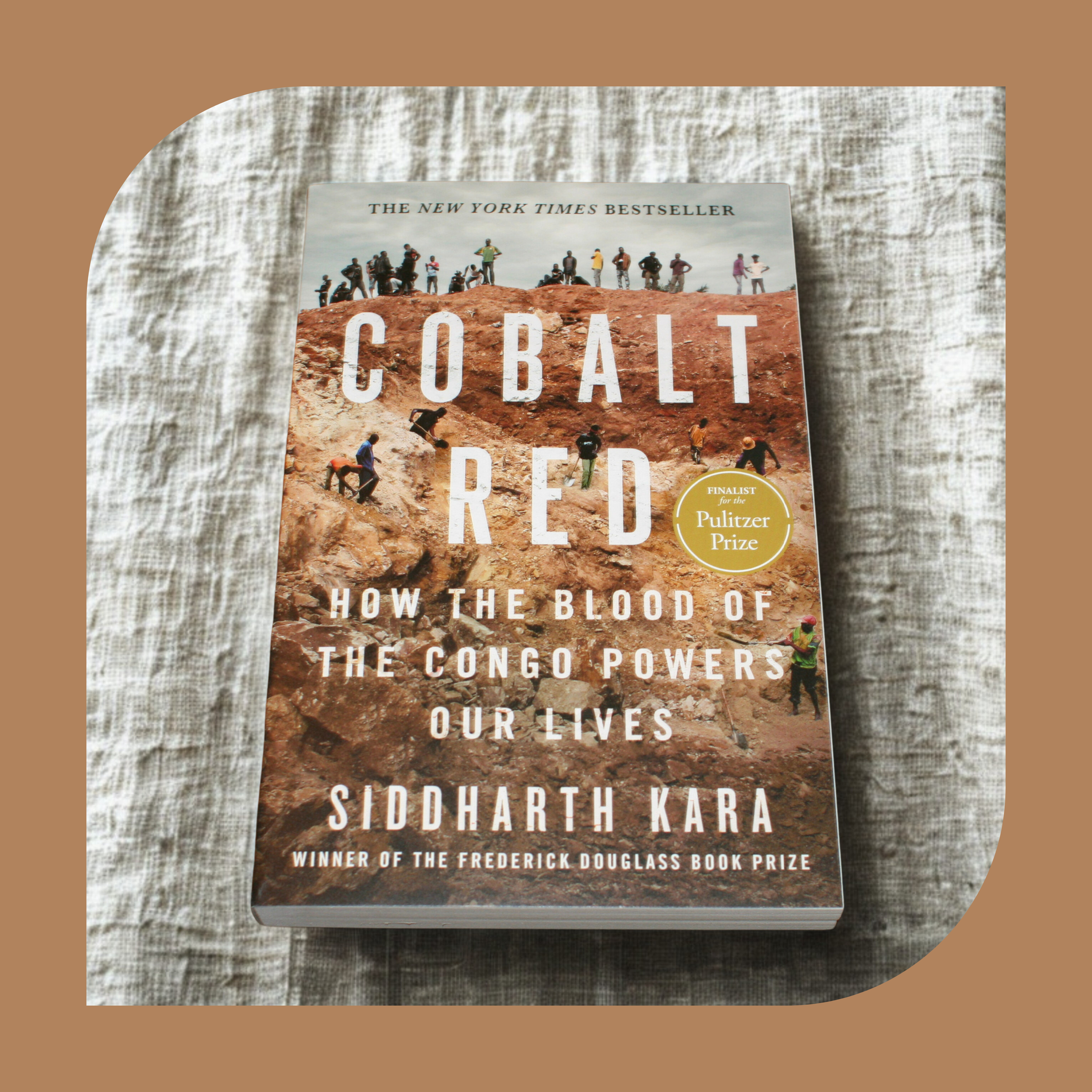 Cobalt Red: How the Blood of the Congo Powers Our Lives