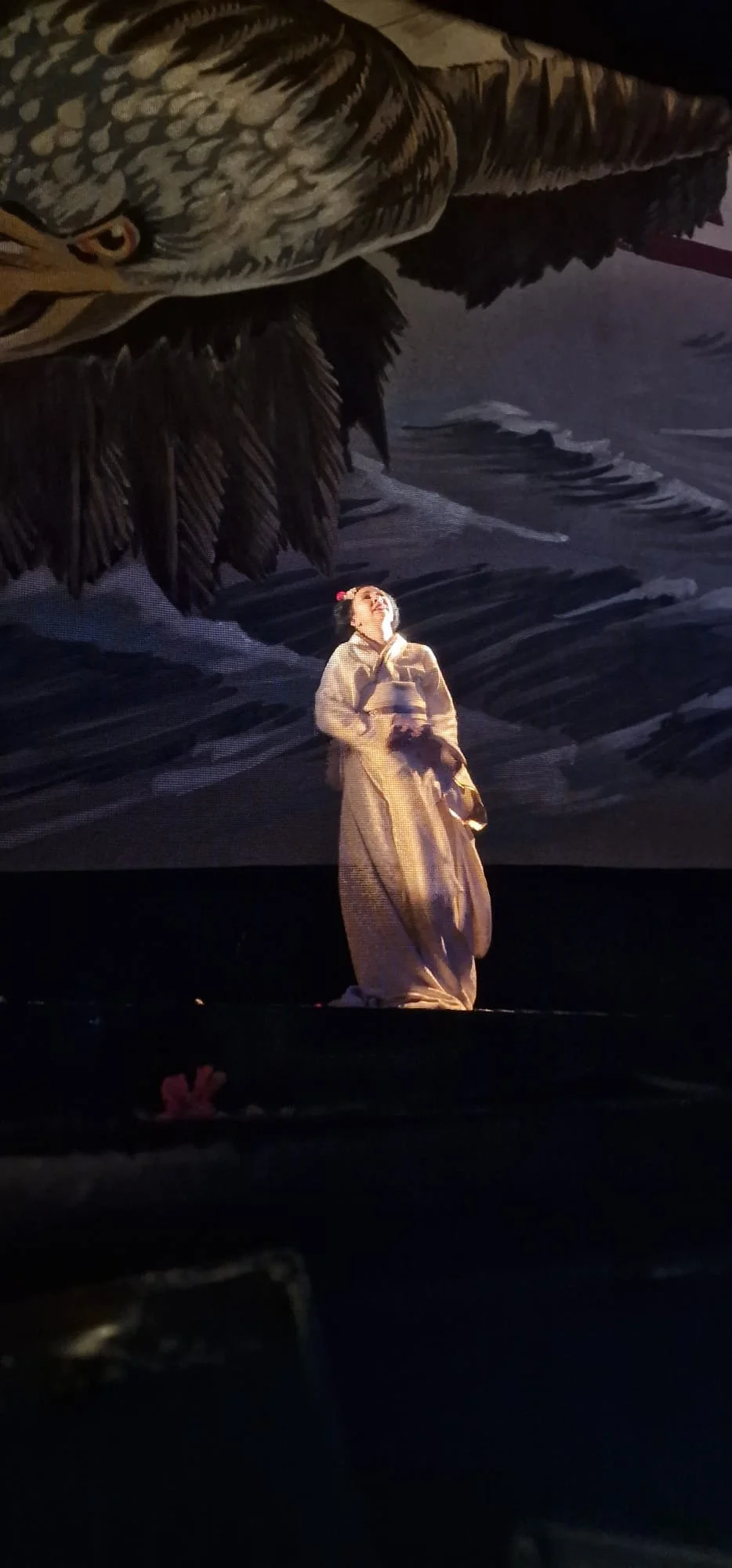 MADAMA BUTTERFLY