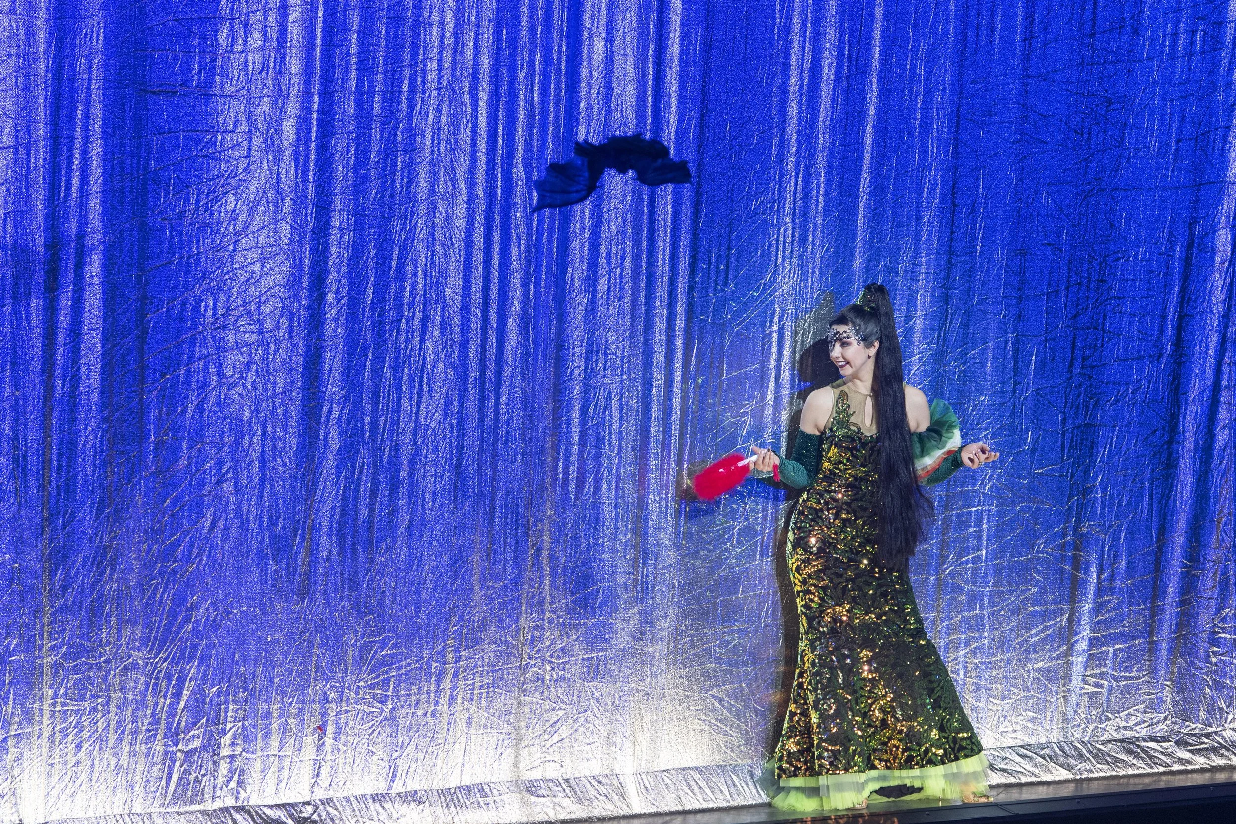 Fledermaus-1391.jpg