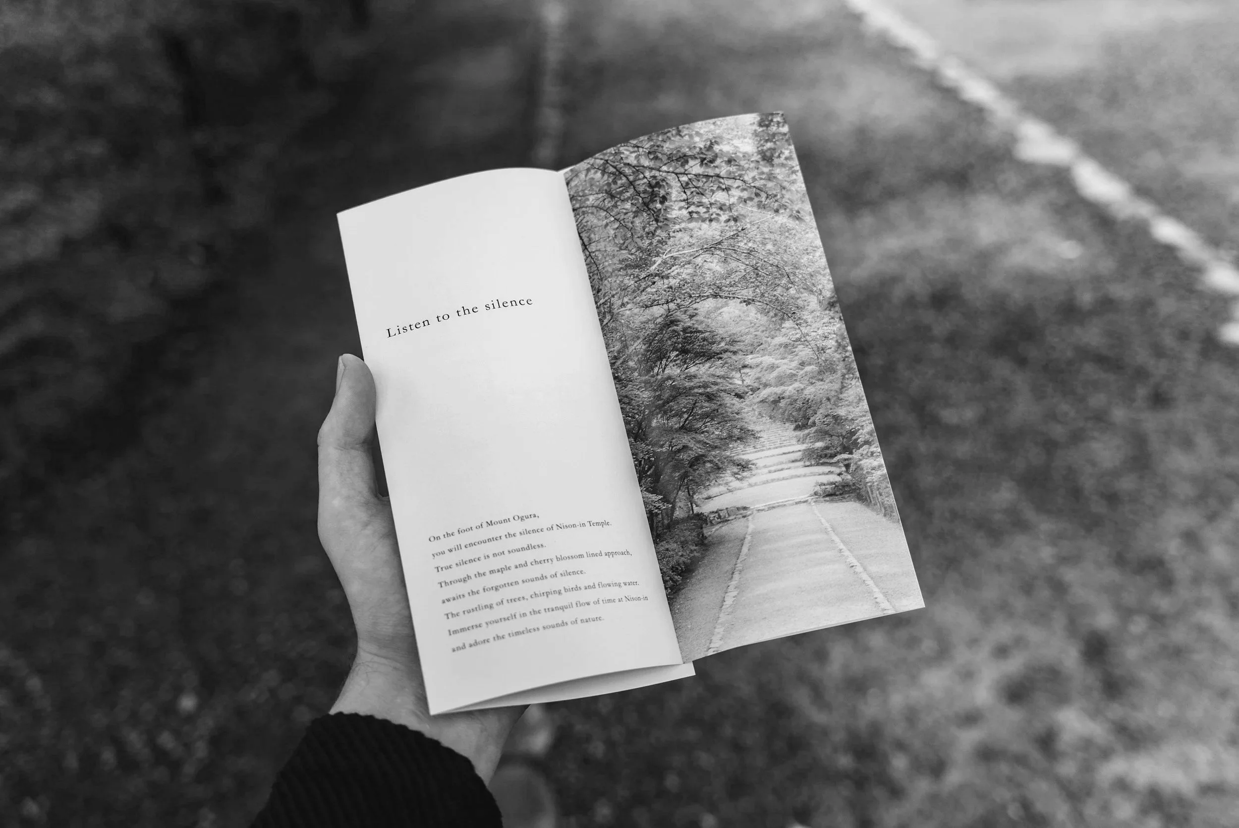 Käsin pidettävästä julisteesta tai kirjasta näkyy teksti 'Listen to the silence' ja luontokuvan kuvaus, jossa on tie tai polku metsän keskellä, ympärillään vihreitä puita ja pensaita.