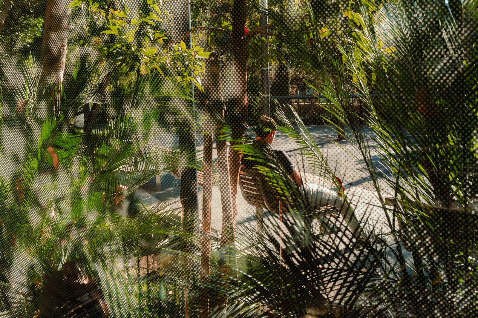 L1140508.jpg