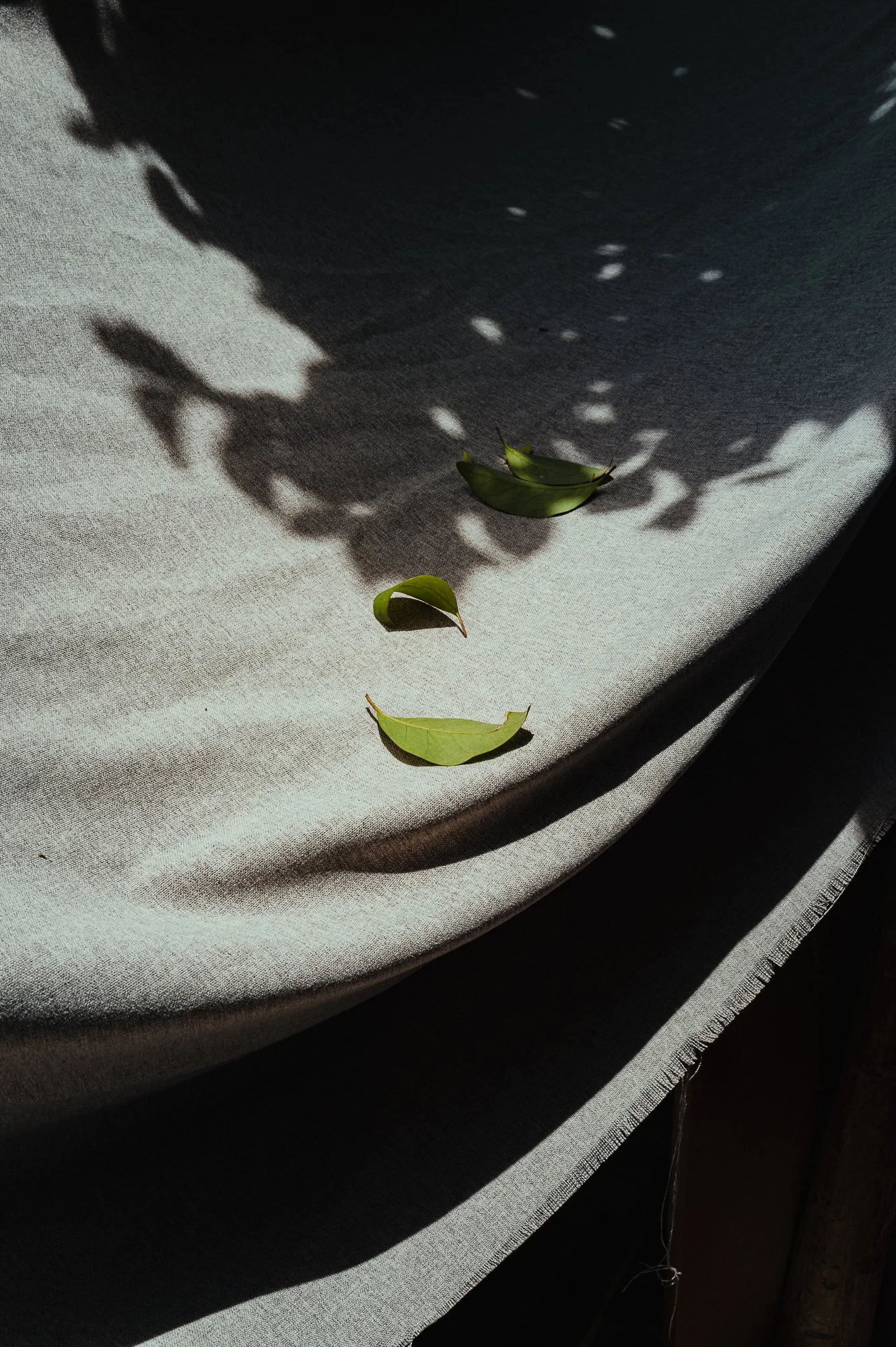 L1050592.jpg