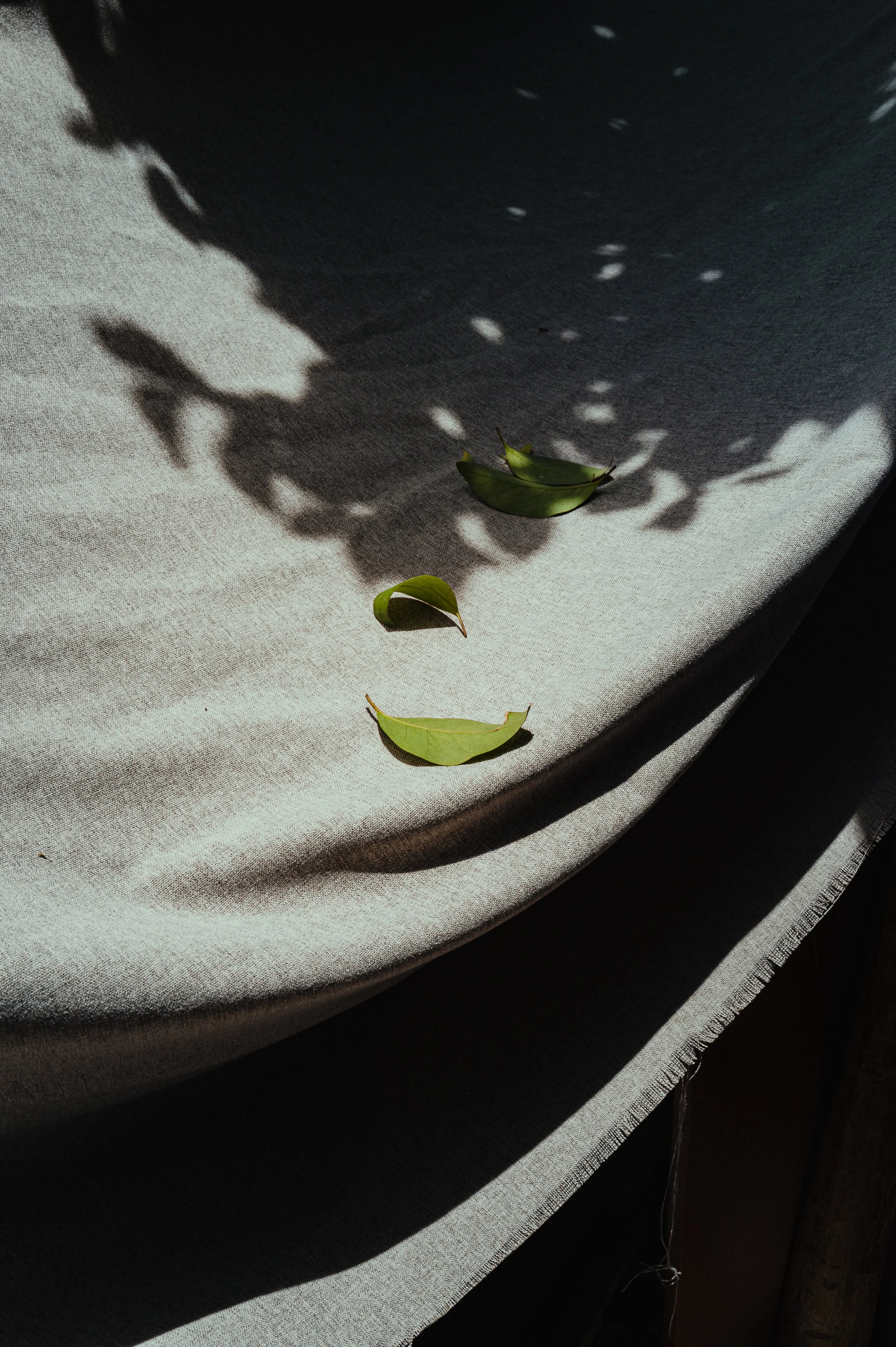 L1050592.jpg