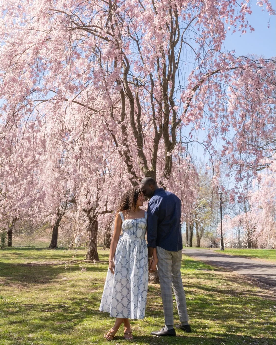 Love under the cherry blossom trees 🌸 

#engagement #engagementsession #engagementphotographer #njweddingphotographer #njwedding #njbride #njengagement #nywedding