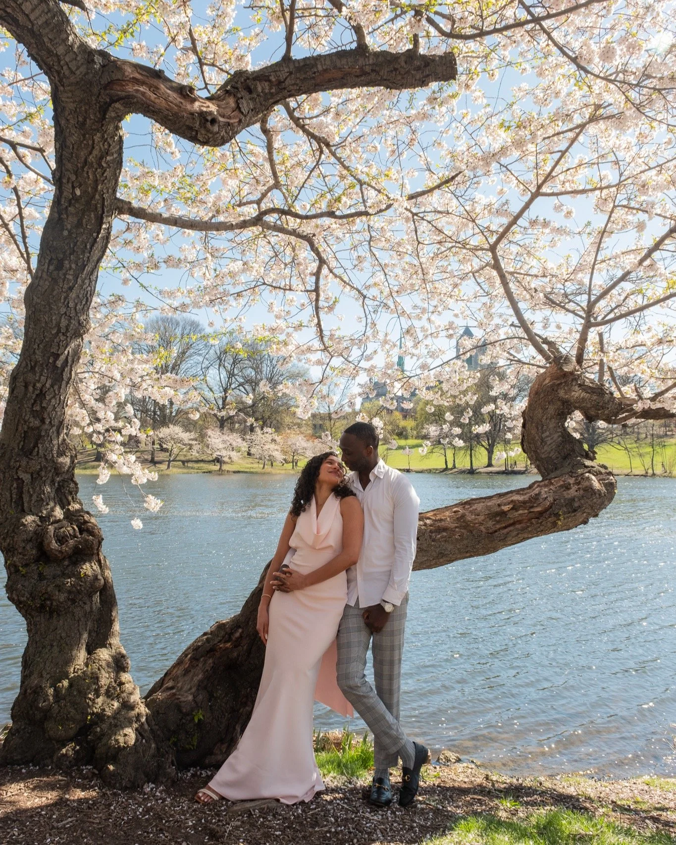 cherry blossom season in the park 🌸 who else is absolutely loving this change in weather??

#nj #njphotoshoot #njphotographer #njweddingphotographer #weddinginspiration #engagementphotos #engagementphotographer #engagementsession #couplephotos #cher