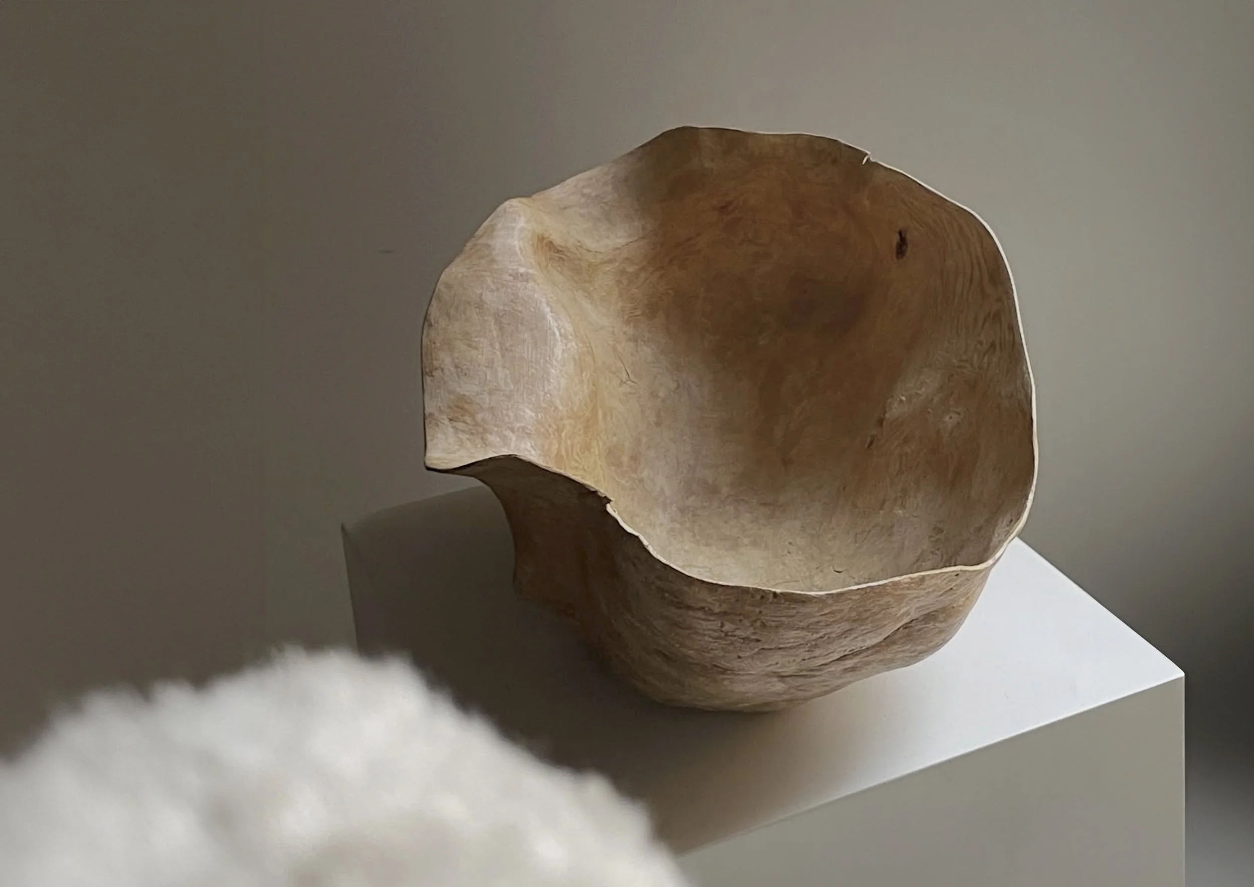 Burl bowl in light wood