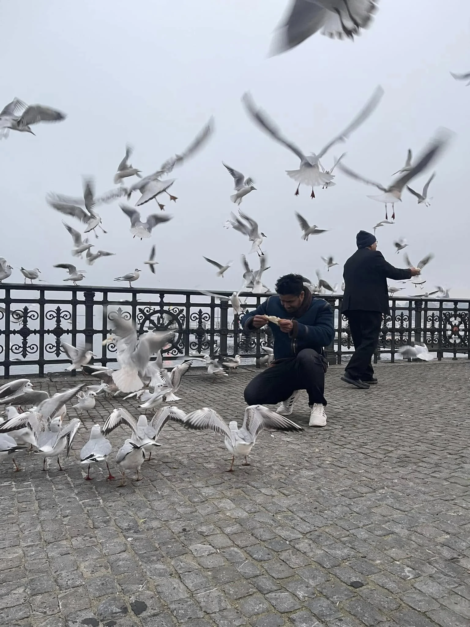 Two men feeding and interacting with a flock of seagulls on a waterfront promenade with a decorative metal railing, cloudy sky in the background.