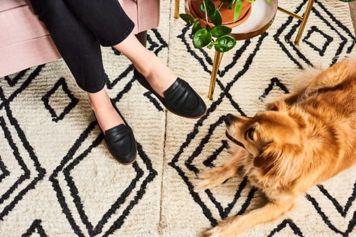 Loafers and dog on textured rug
