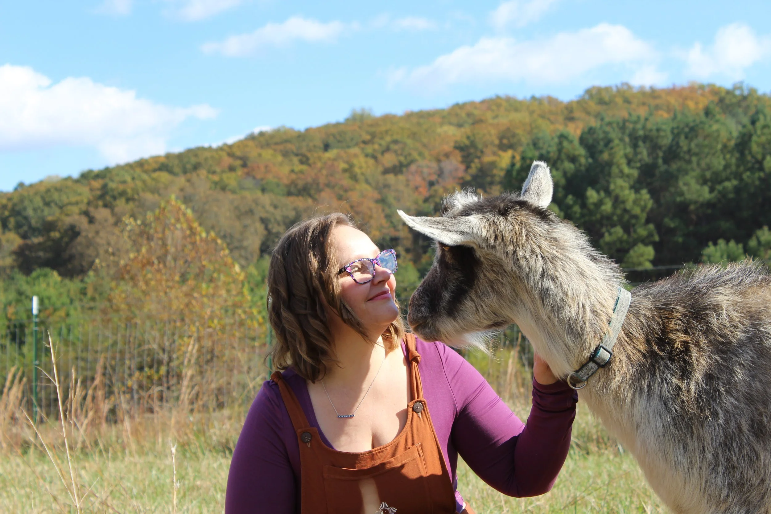 A woman petting a goat outdoors in a grassy field with trees and rolling hills in the background during daytime.