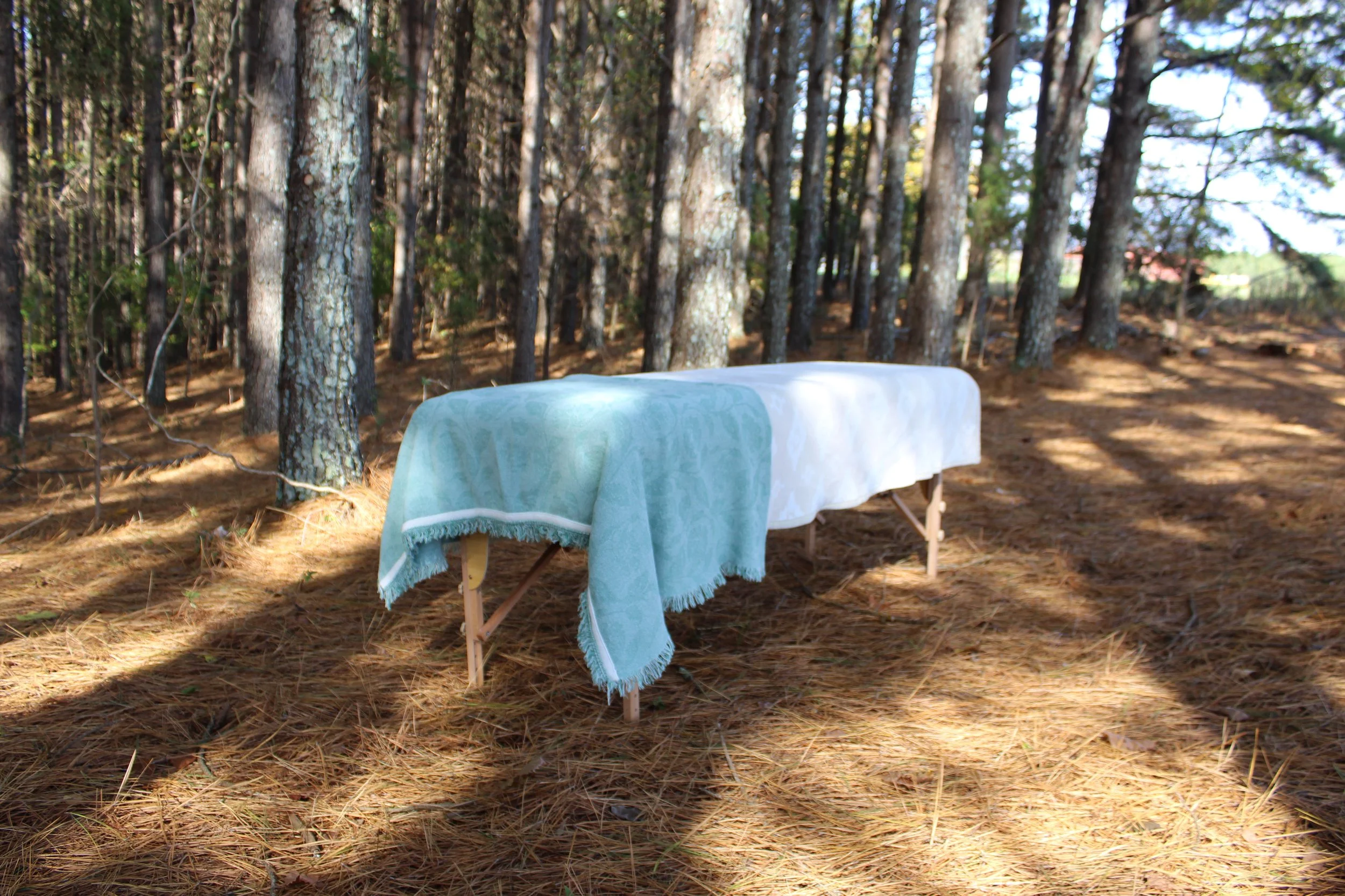 A reiki table covered with white and blue blankets is set up in a wooded forest area with tall trees and pine needles, ready for a reiki session in the forest.