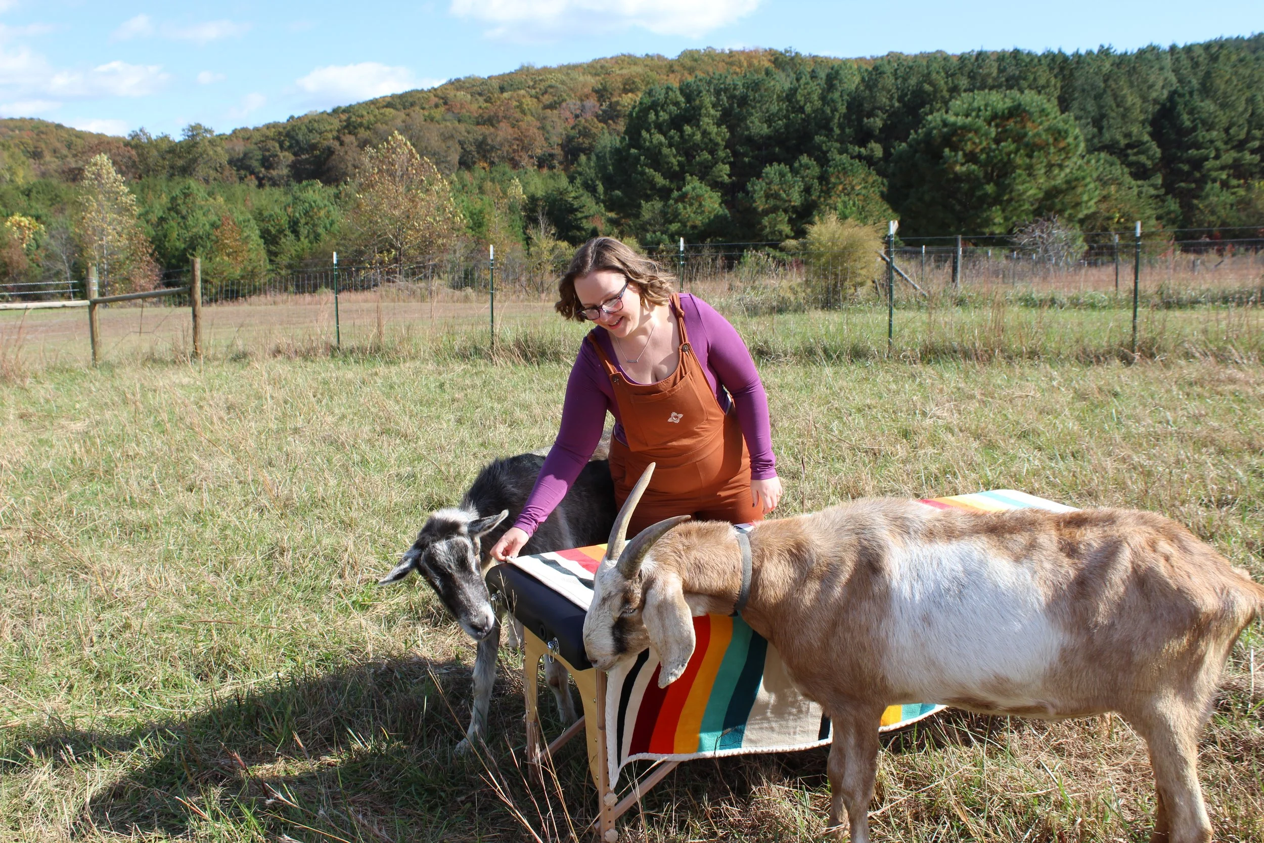 A woman in a purple long-sleeve shirt and orange overalls prepares for a reiki session with two goats in a grassy field during daytime, with trees and a fence in the background.