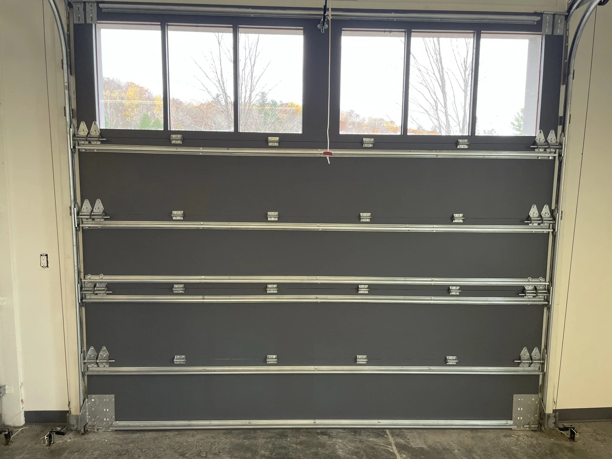 Closed dark gray sectional garage door with windows at the top, showing trees and overcast sky outside.