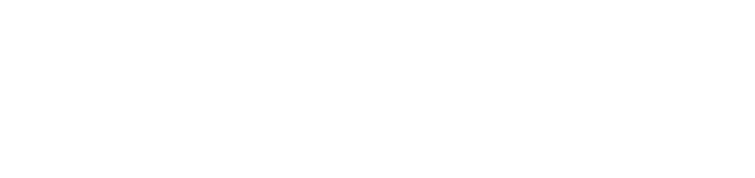 Conrad 4 Congress