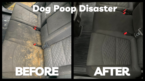 dog+poop+car+before+and+after+full+interior+detail+odor+removal+jazzy+fresh+mobile+detailing.webp