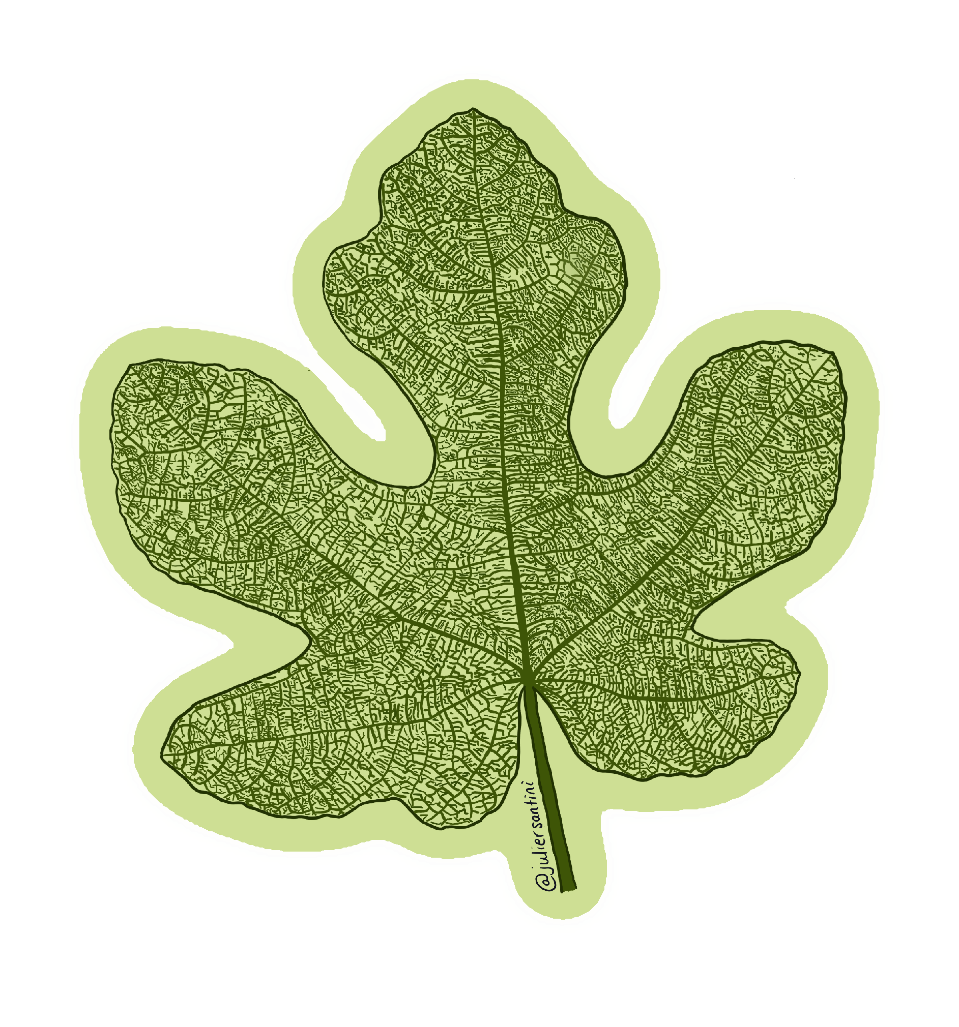 Fig Leaf Sticker.PNG