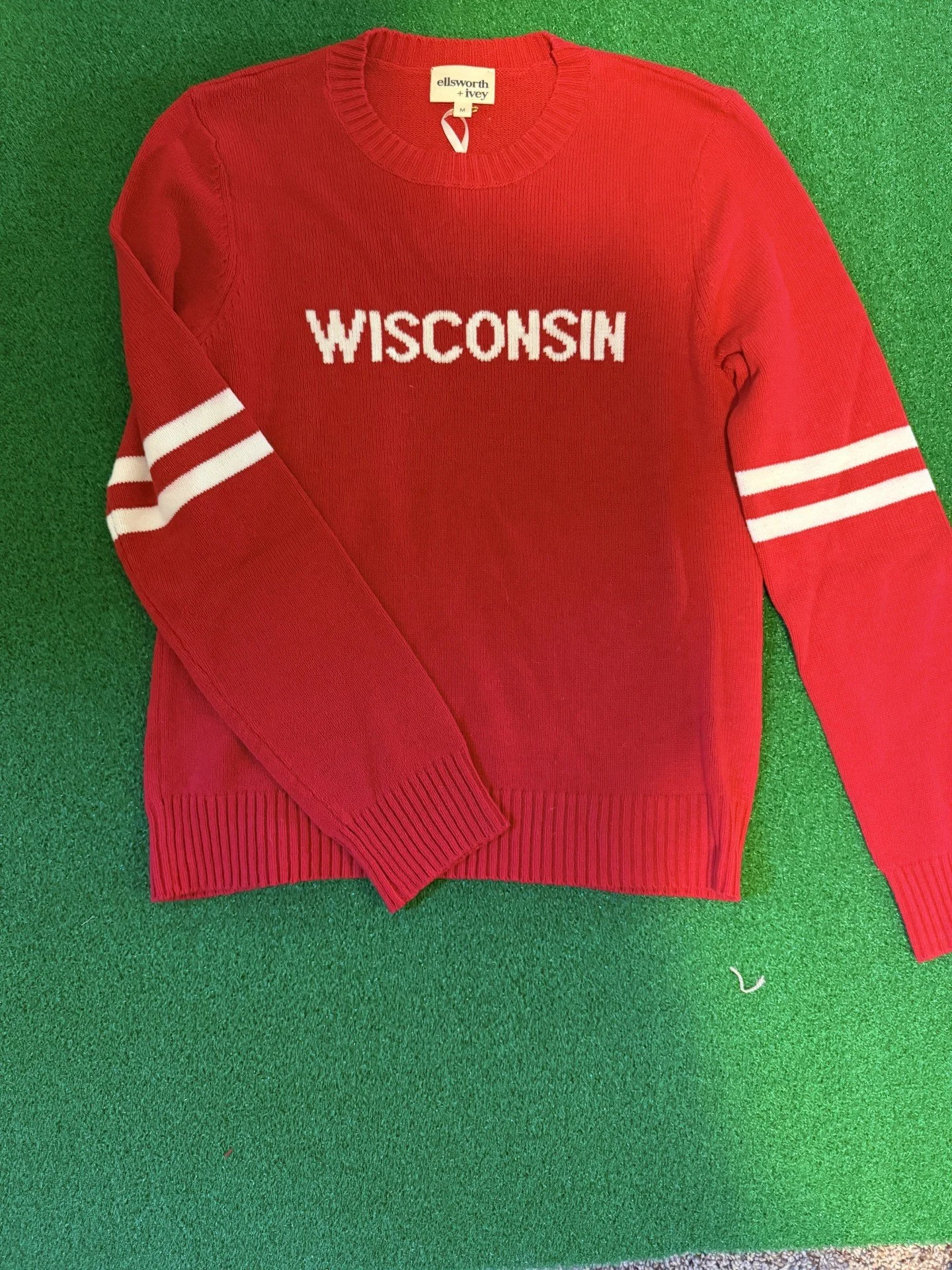 Wisc sweater.jpg