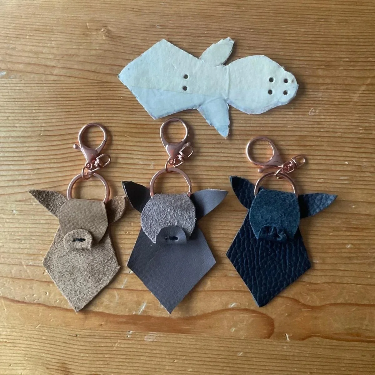 Activities at Volkshuis