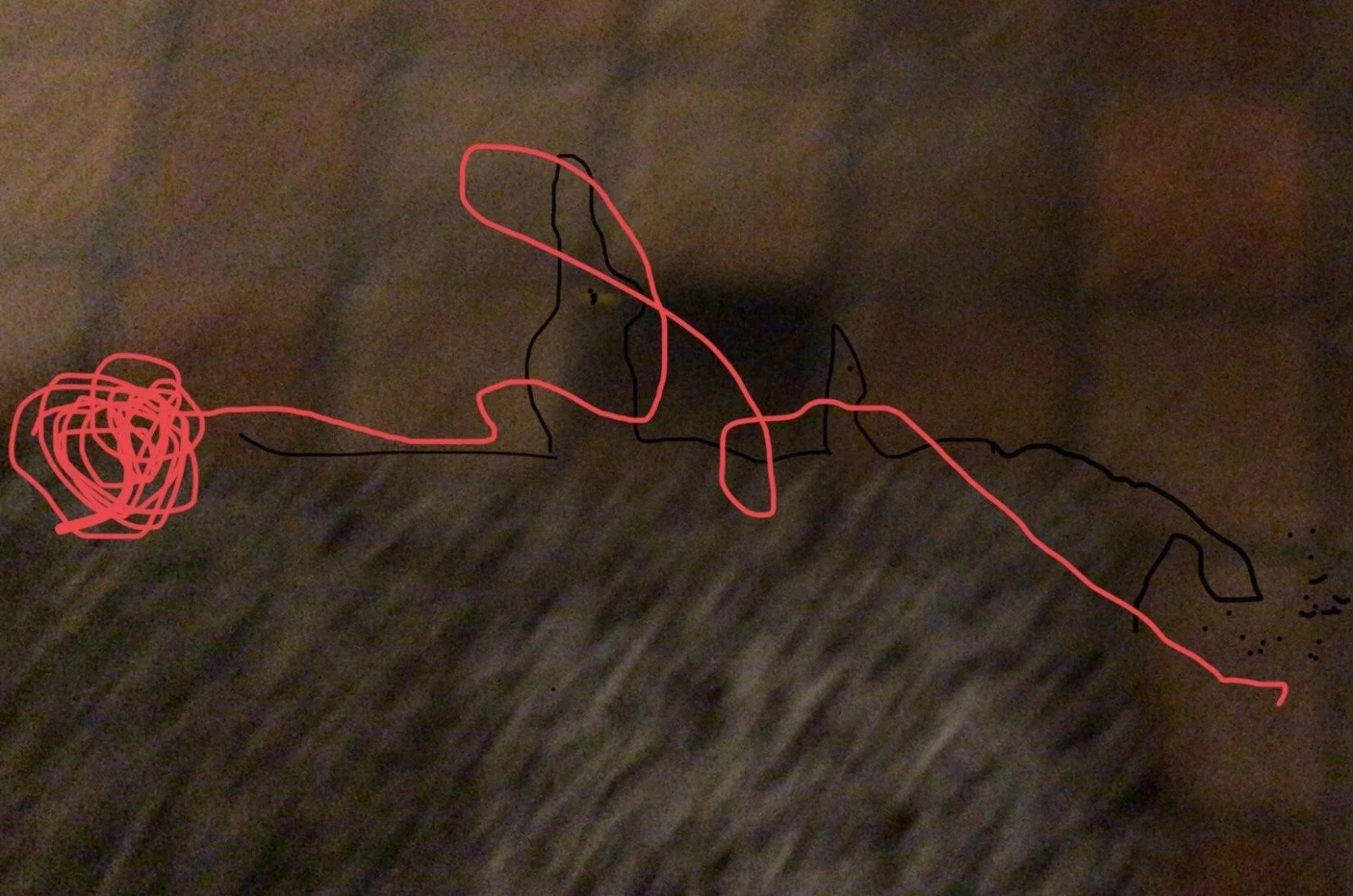 Participatie project: De rode lijn