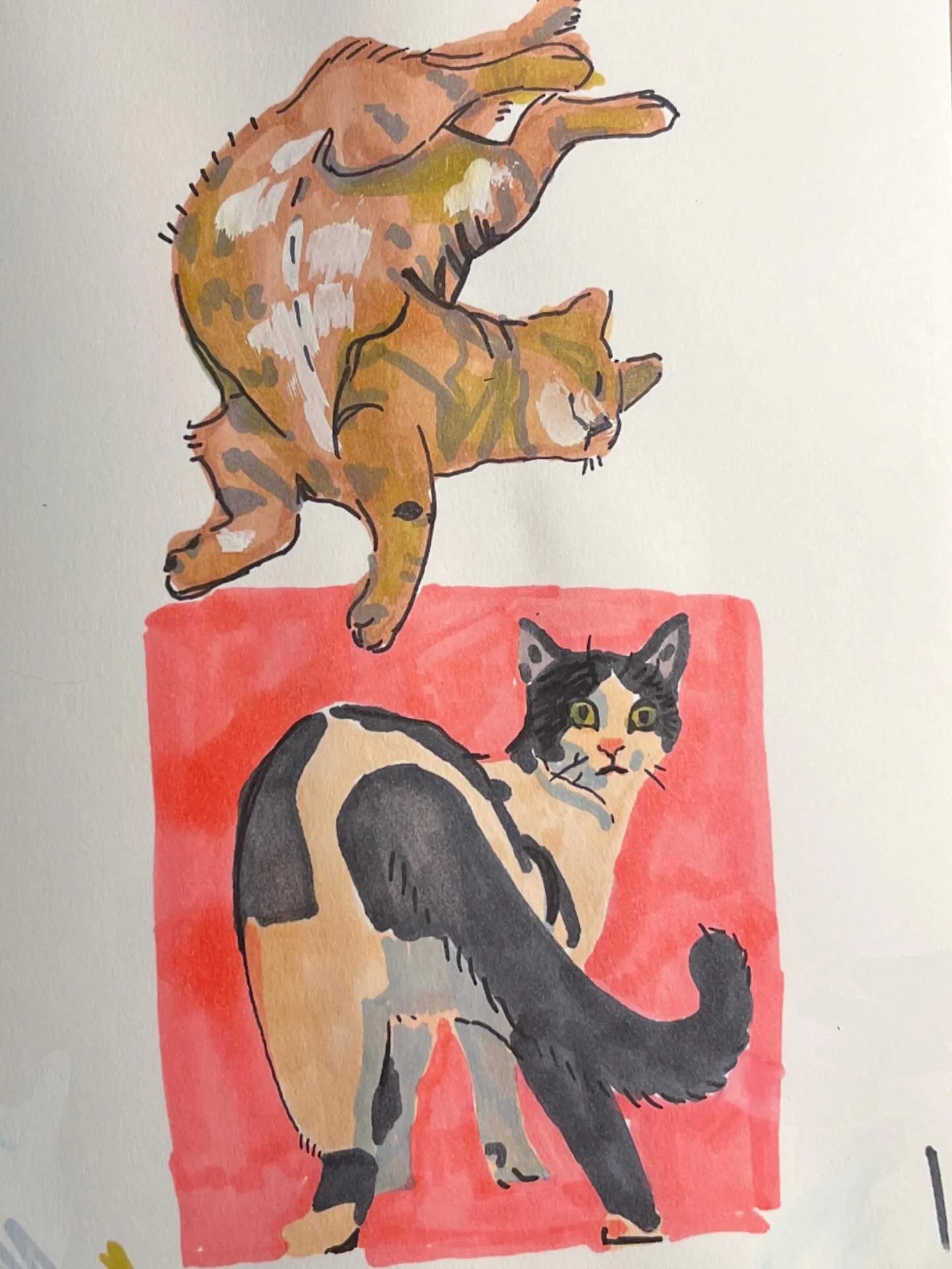 Little excerpt of some sketchbook studies. De-stressing via cat doodle