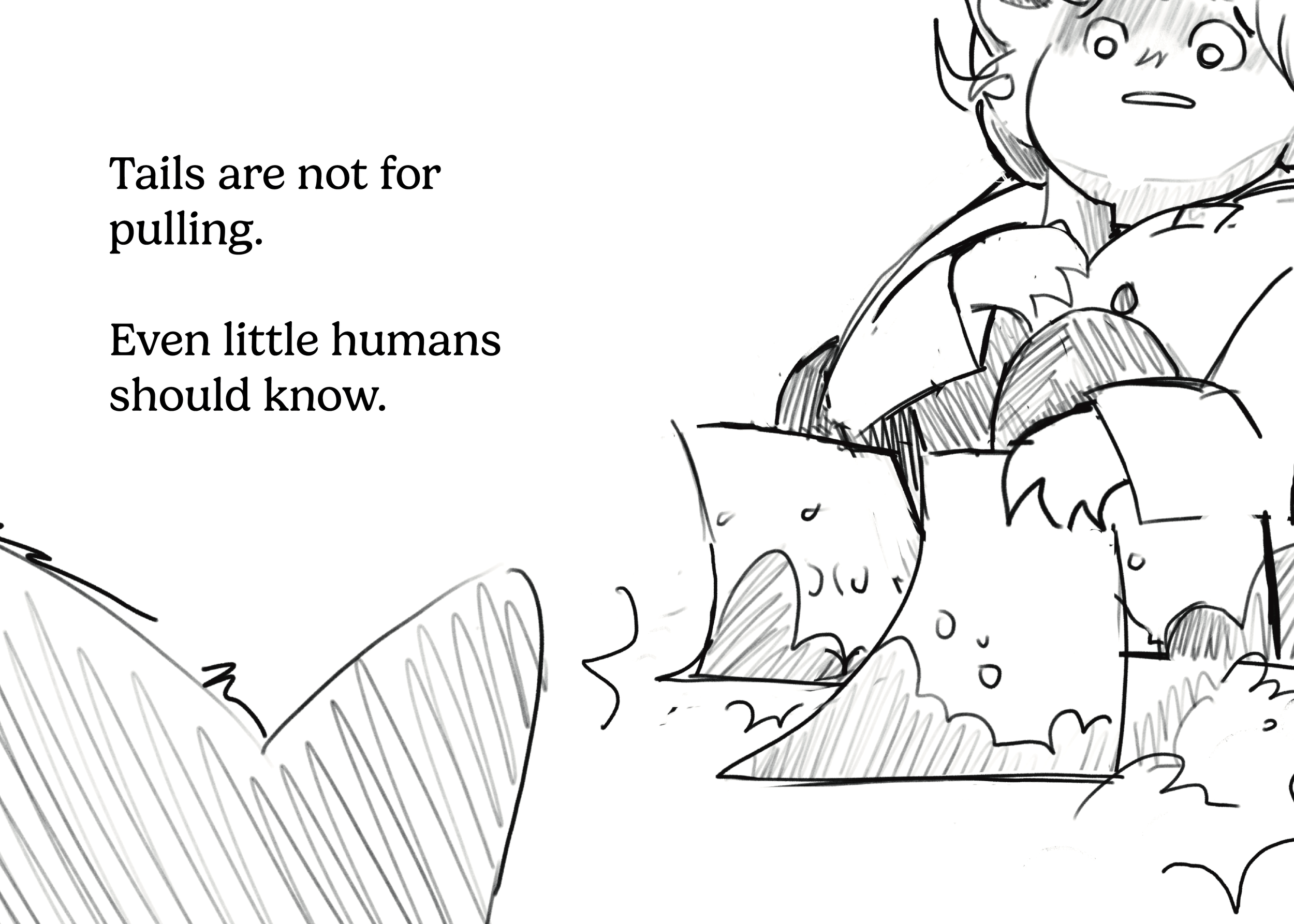 Book Final213.png