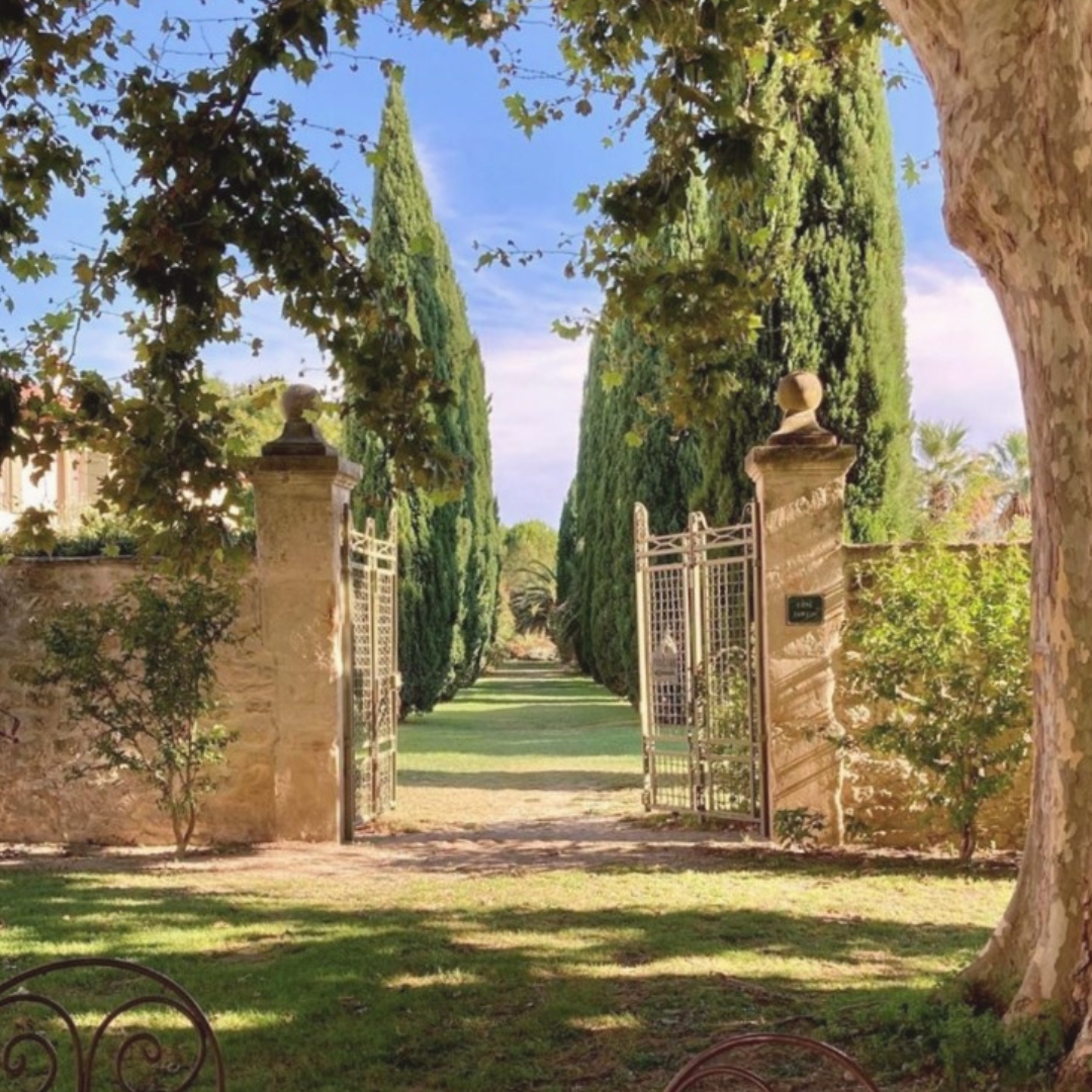 Squarespace Image Featured.png