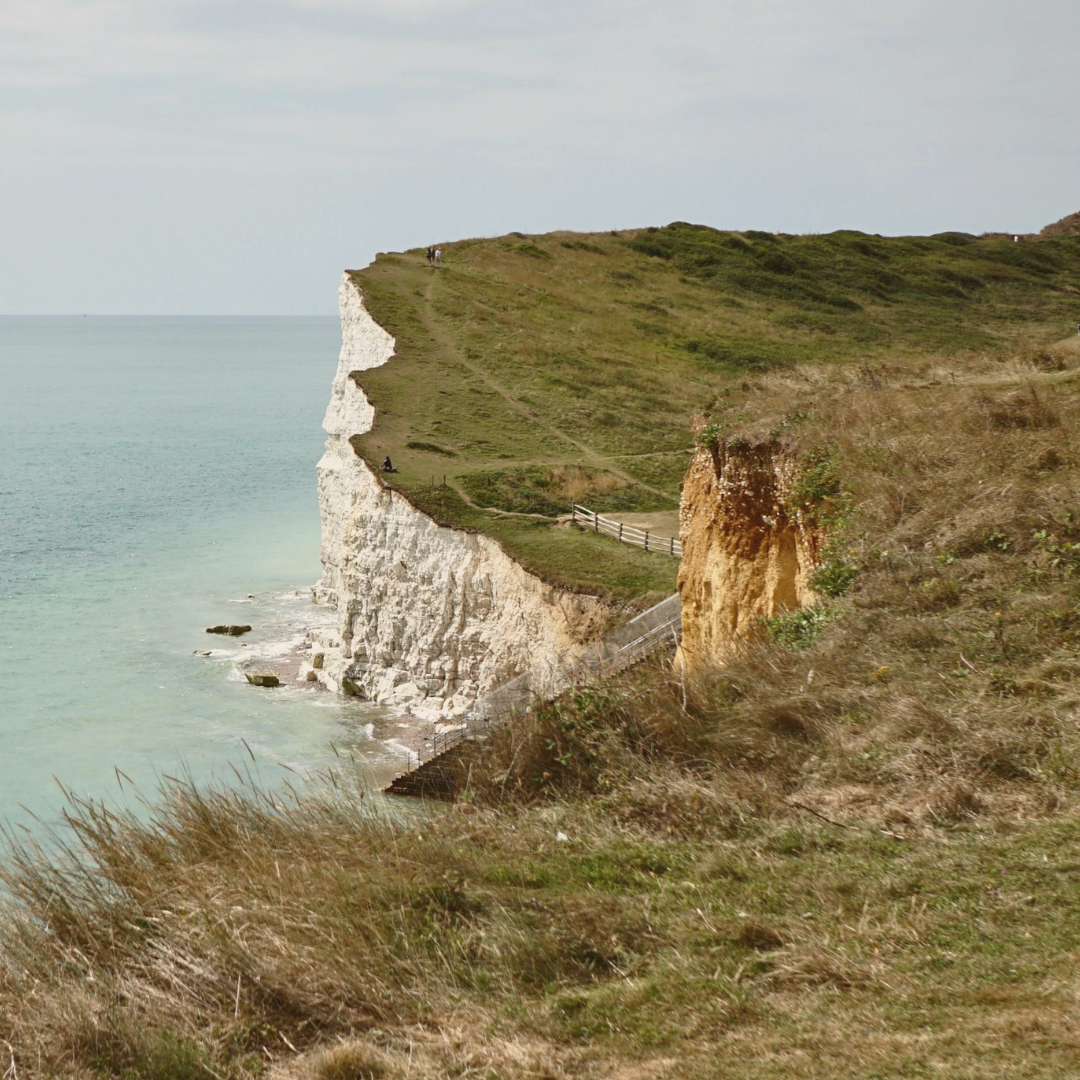 Squarespace Image 1 - AC 2026.png