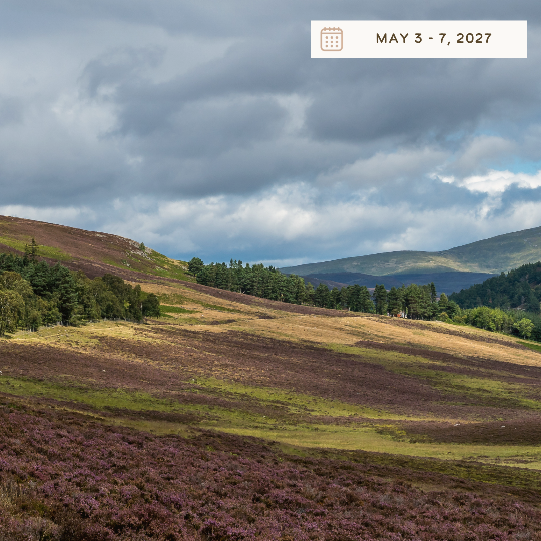 Squarespace Featured Image - HP 2027.png