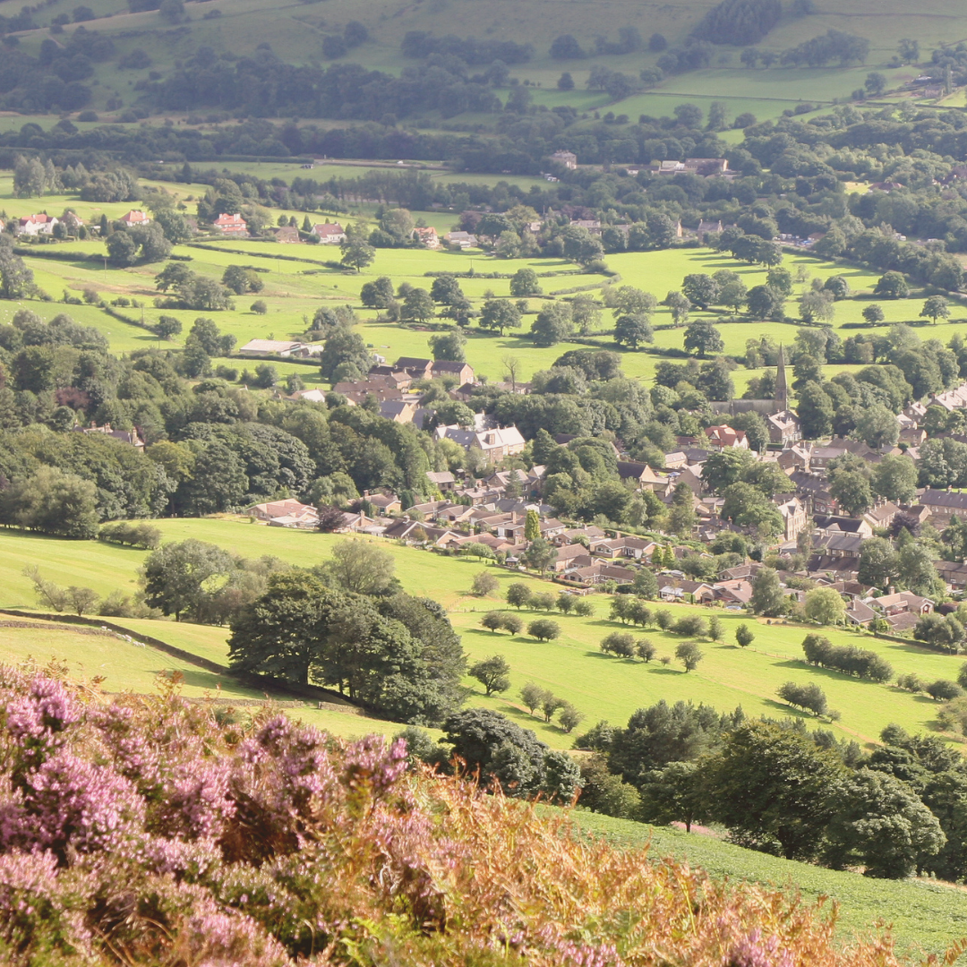 Social Image 8 - P&P 2027.png
