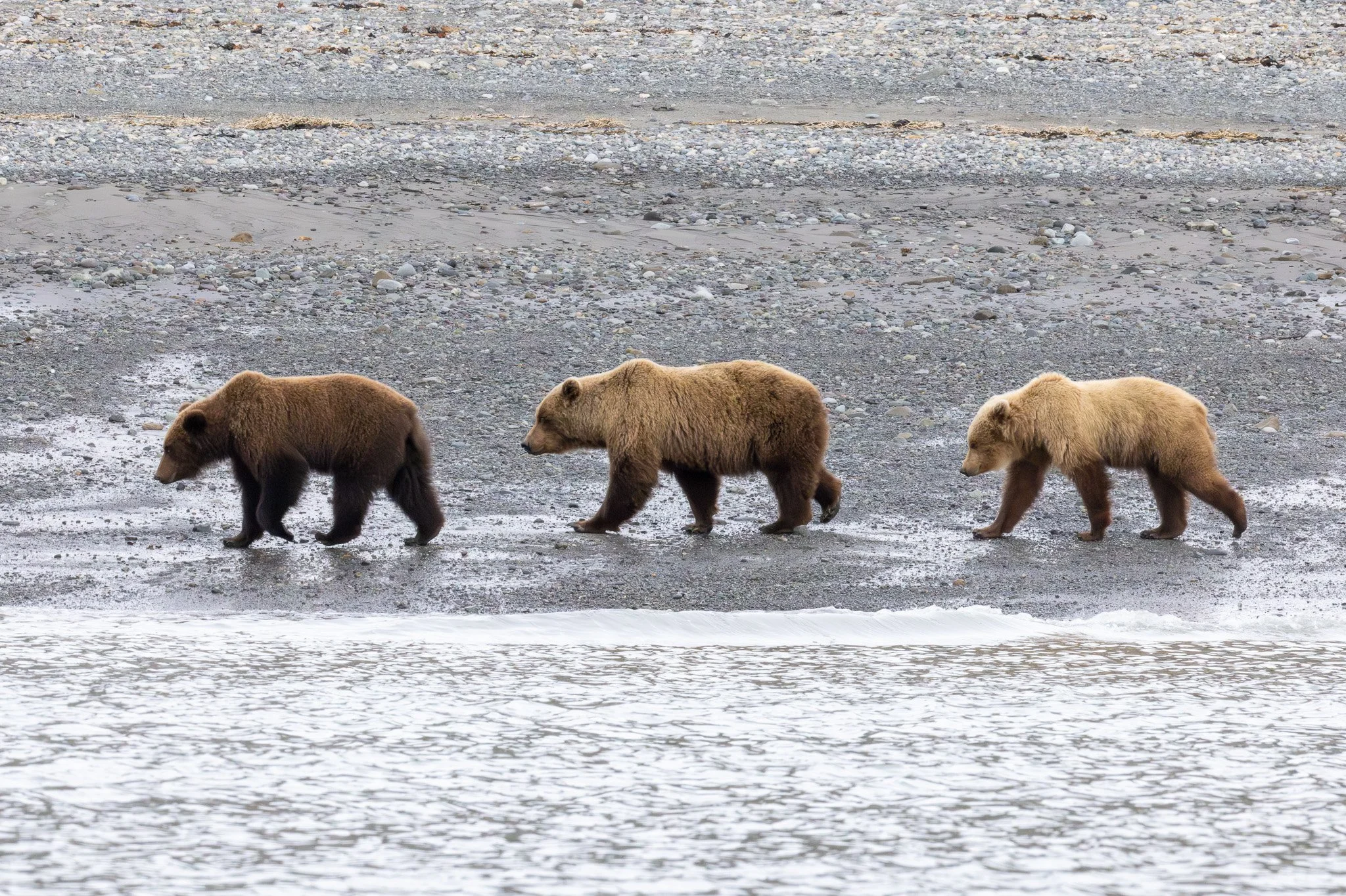 Chinitna Bay, Lake Clark NP