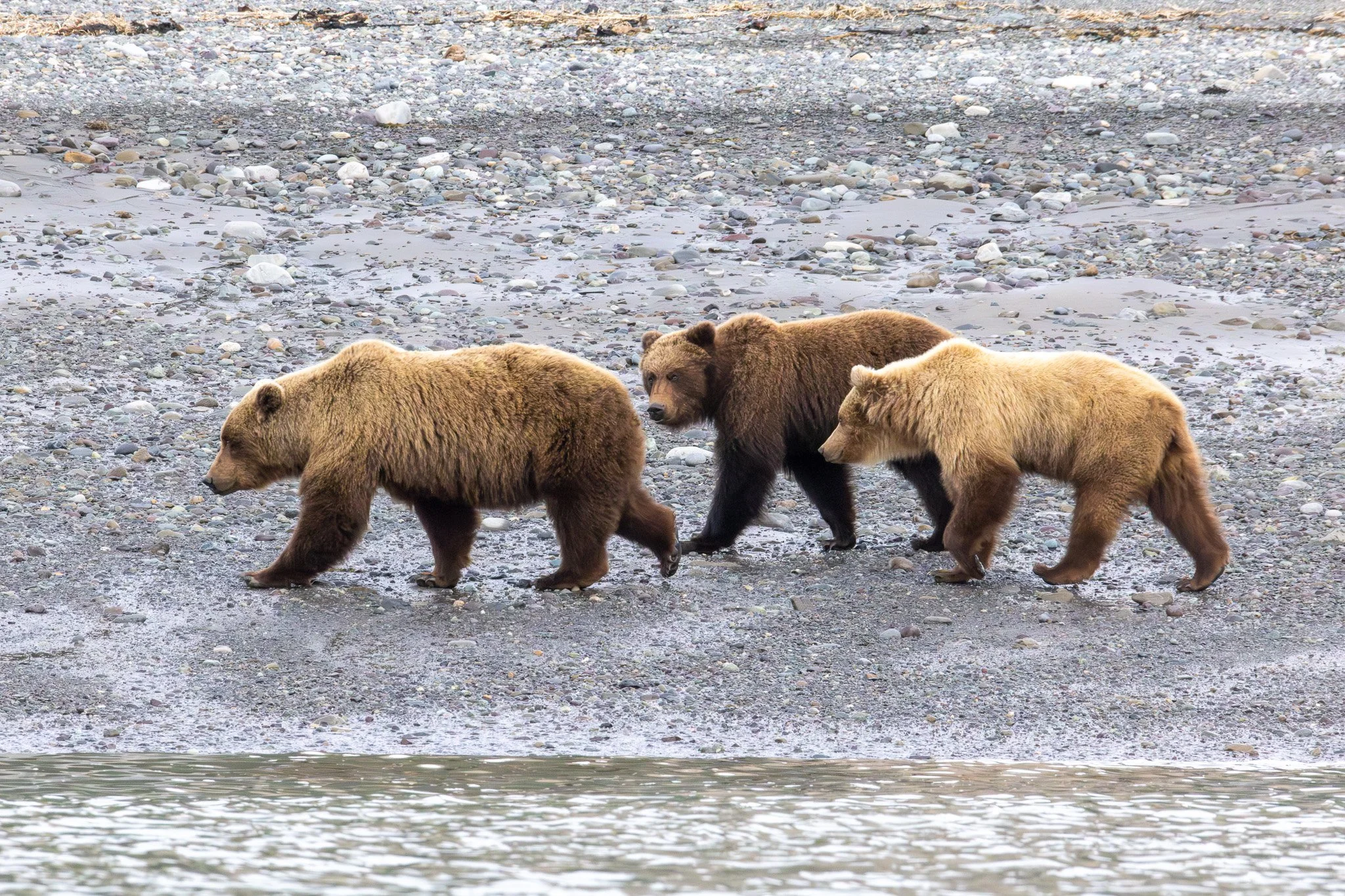 Chinitna Bay, Lake Clark NP