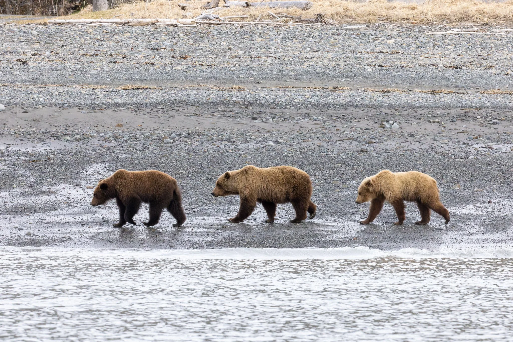 Chinitna Bay, Lake Clark NP