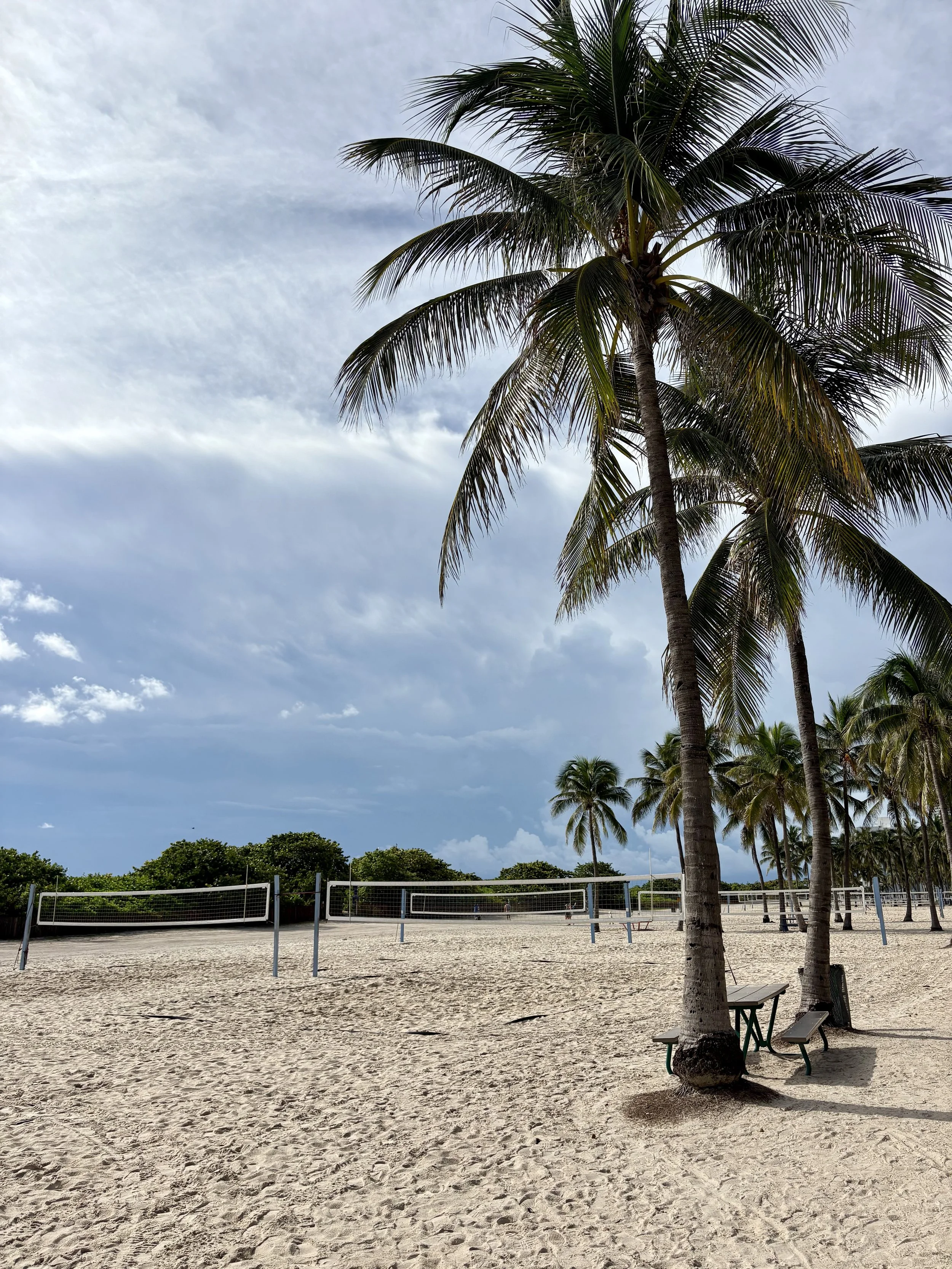 ...beach volleyball vibes...