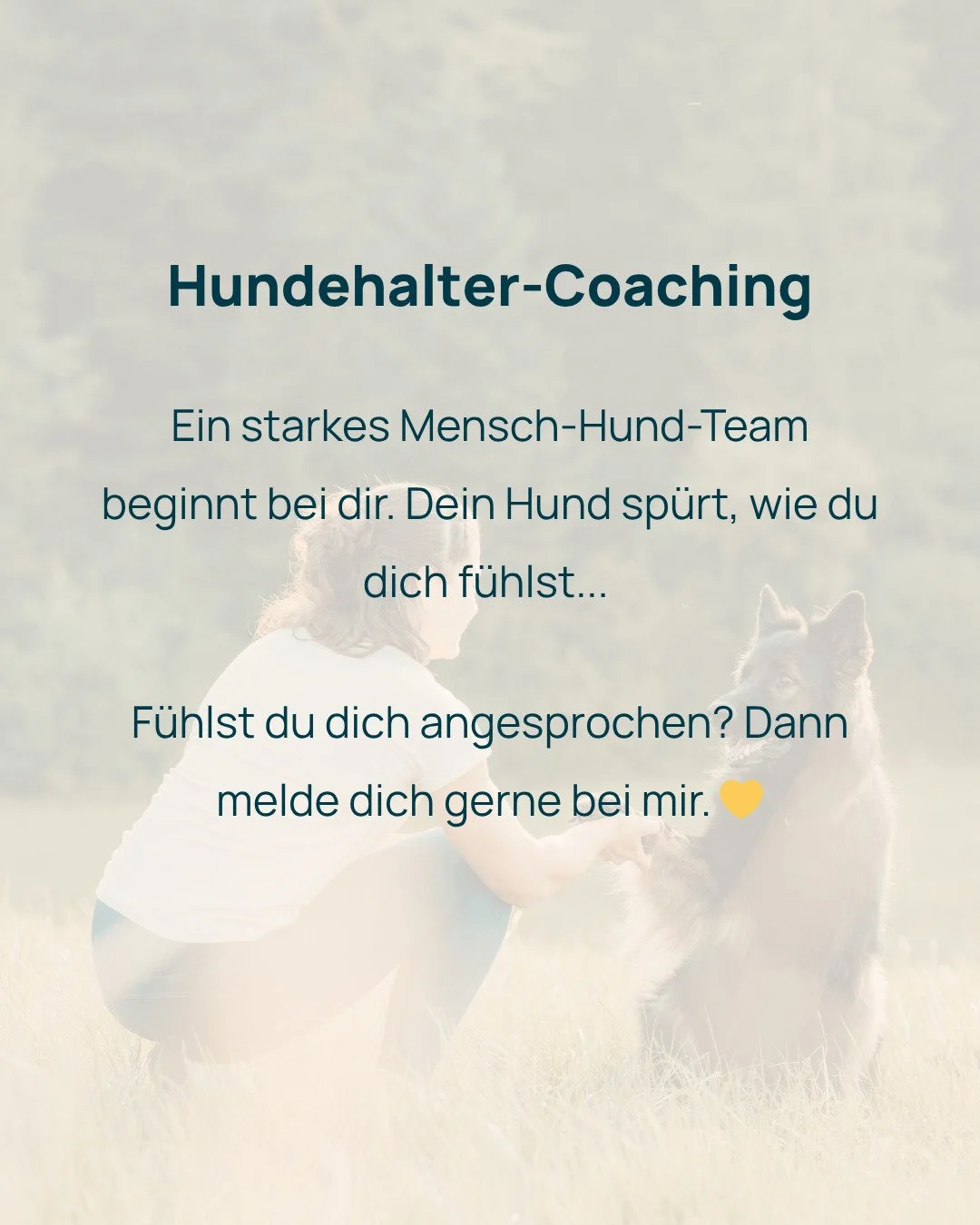 Ein starkes Mensch-Hund-Team beginnt bei dir. Hunde sp&uuml;ren unsere innere Haltung &ndash; Ruhe und Klarheit &uuml;bertragen sich genauso wie Unsicherheit und Stress. Im Coaching geht es um dich als Halter:in: mentale St&auml;rke, Gelassenheit und