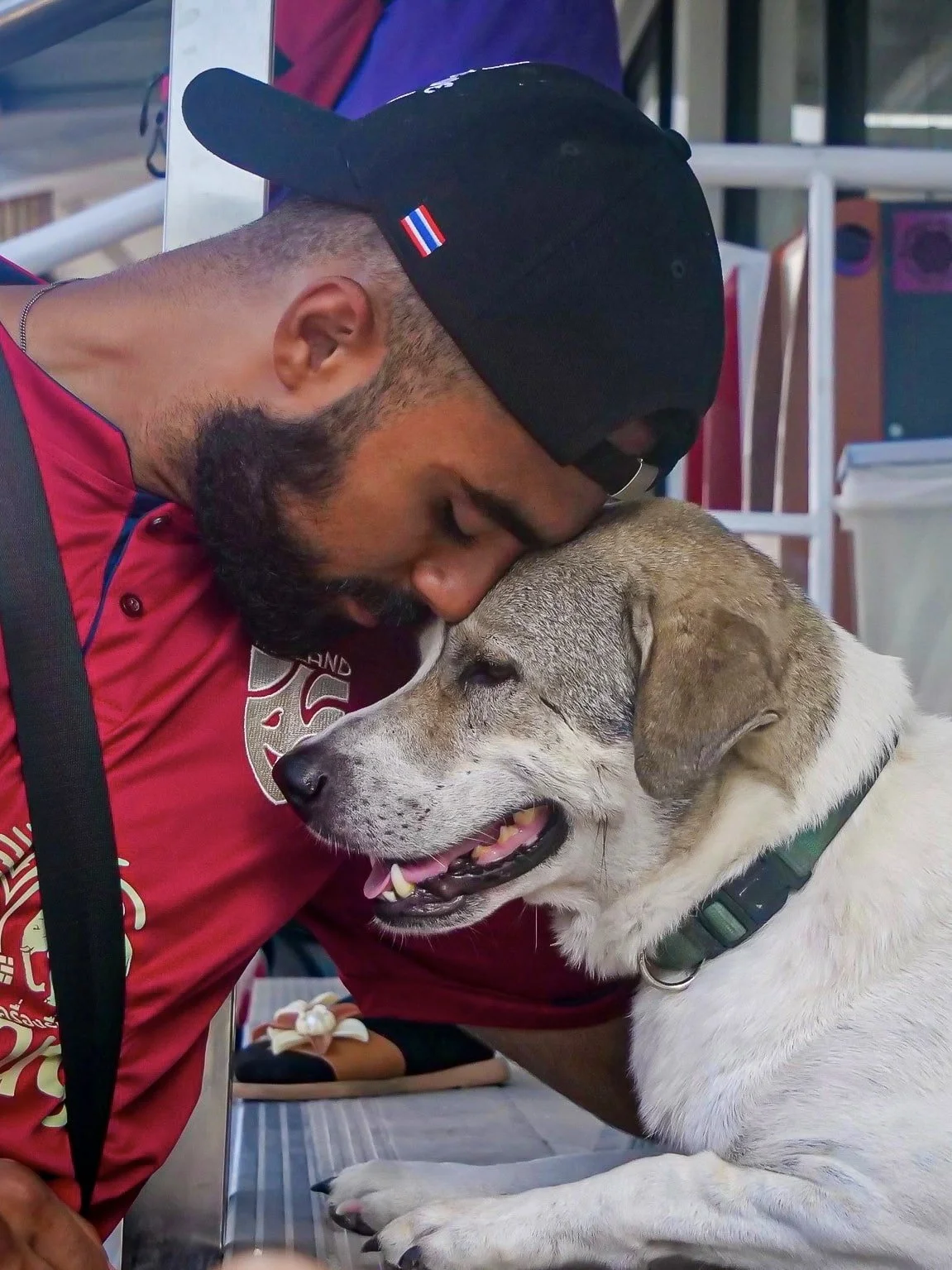 Rohan from The Mission Planet CIC sharing a moment with a rescue dog during an animal welfare initiative.