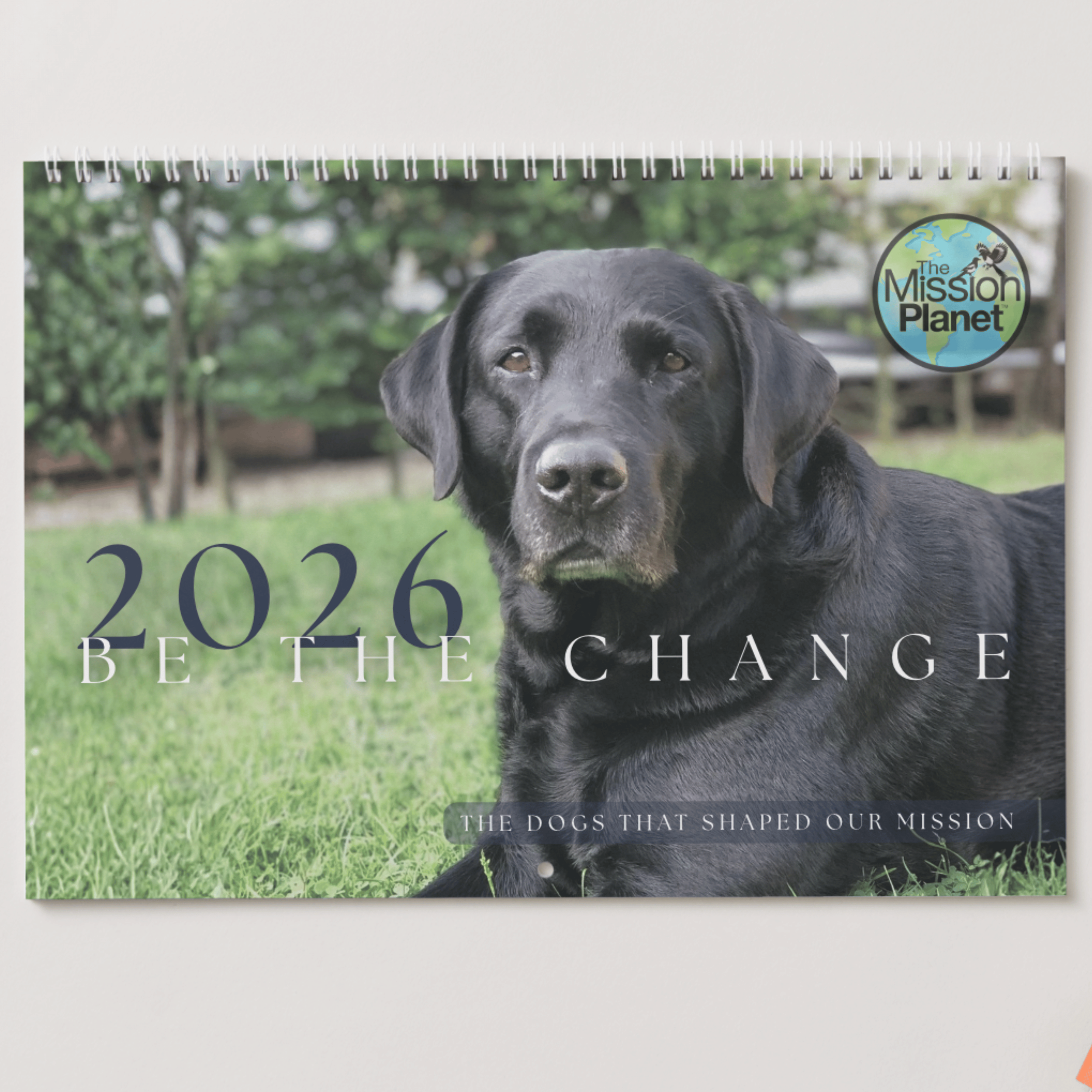 Be The Change Calendar 2026