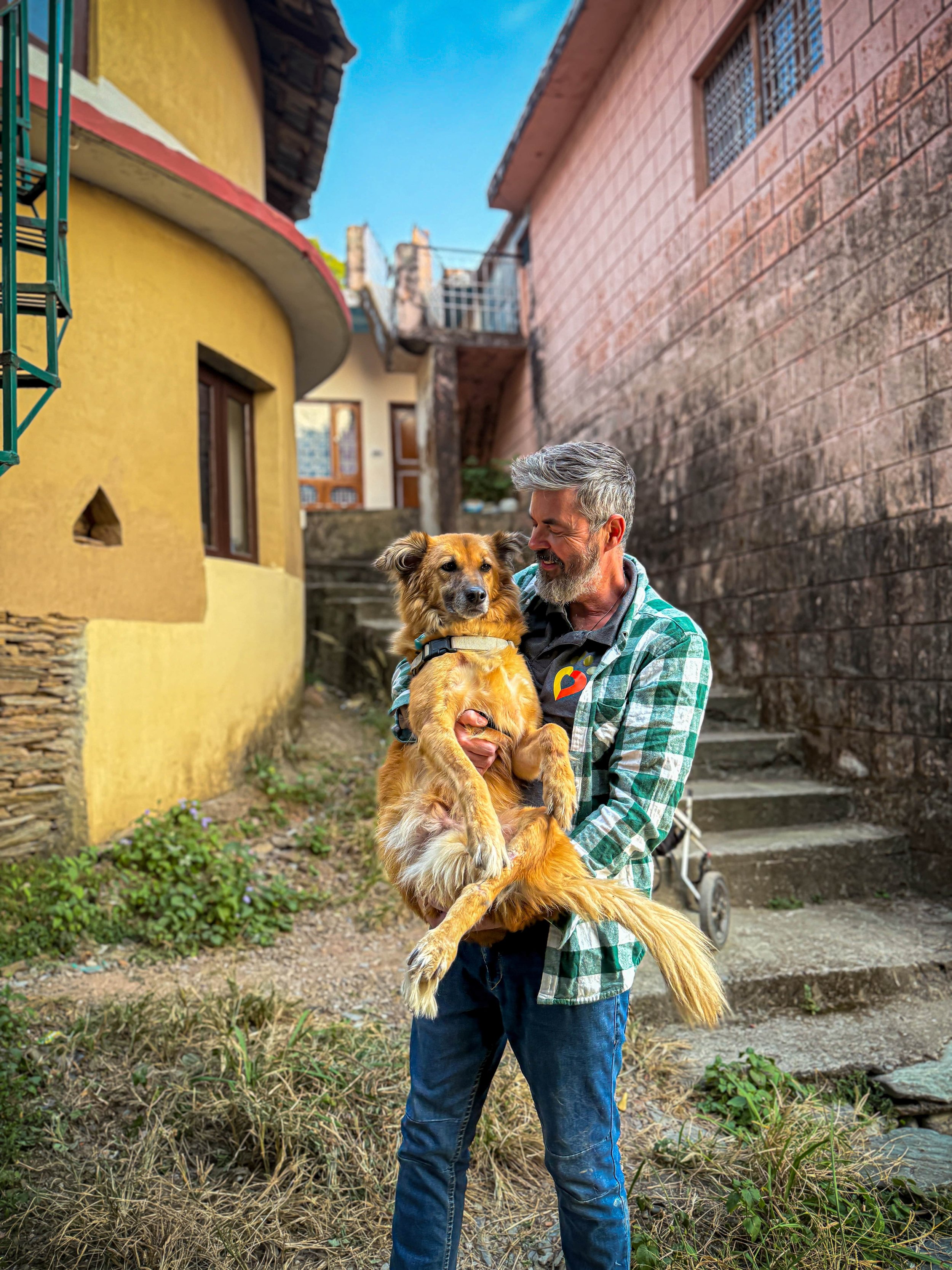 A team member from Dharamsala Animal Rescue in India holding a rescued dog during a local animal welfare initiative.