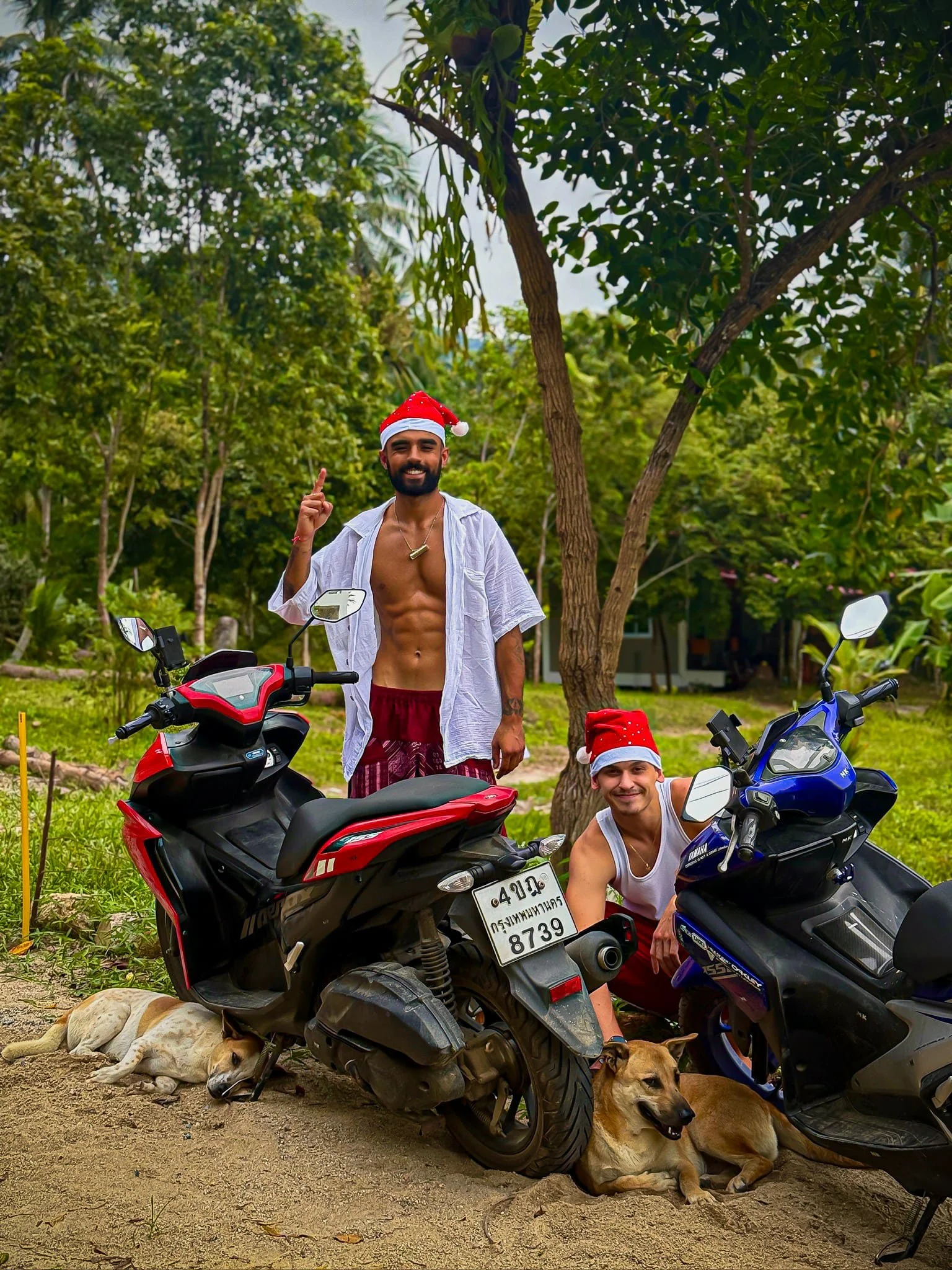 Rohan and Tom from The Mission Planet CIC wearing Santa hats with street dogs in Thailand during a Christmas visit supporting local animal sanctuaries.