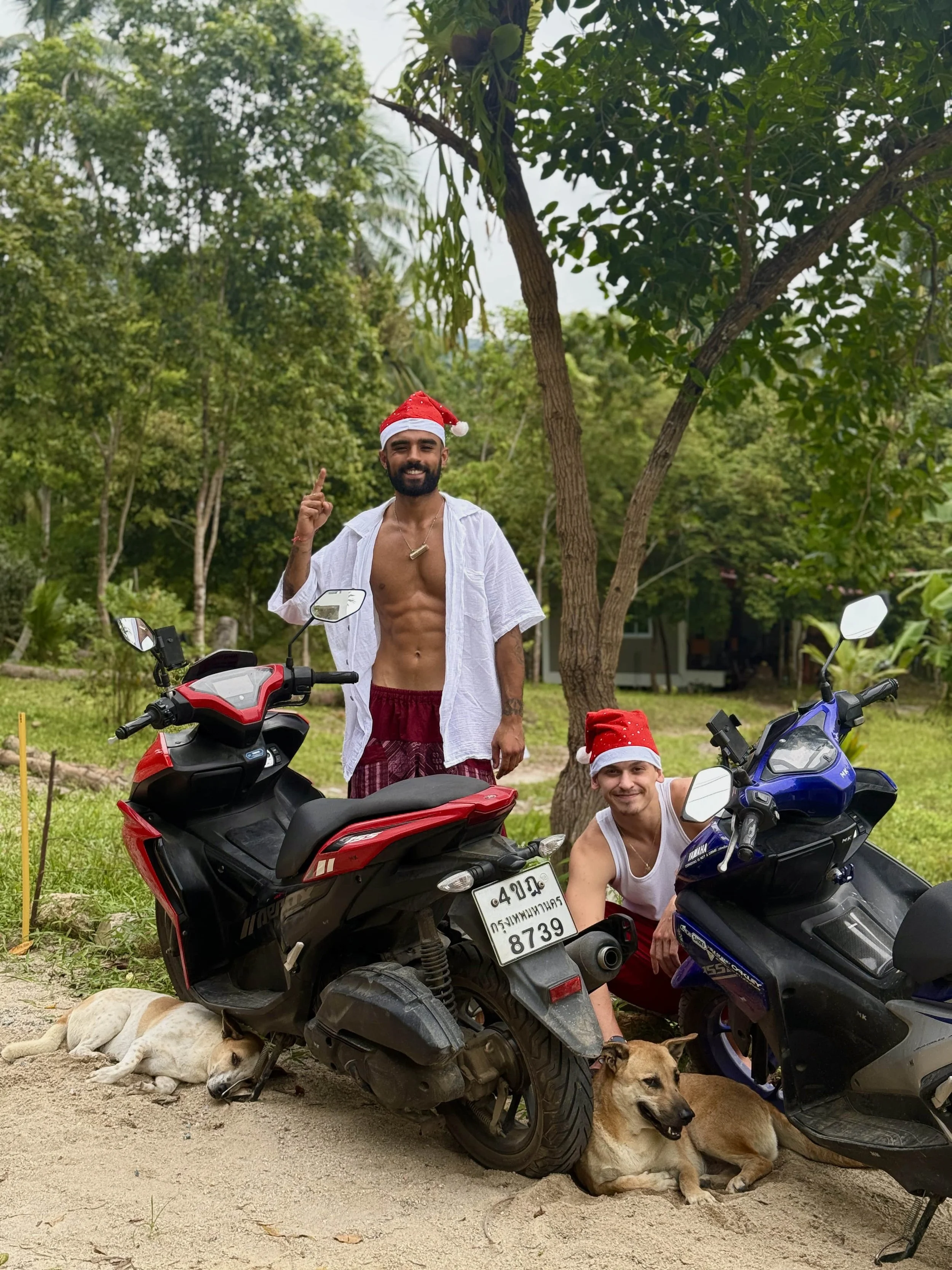 Rohan and Tom in Thailand during Christmas 2024 with rescued street dogs while travelling by scooter as part of a Mission Planet welfare mission