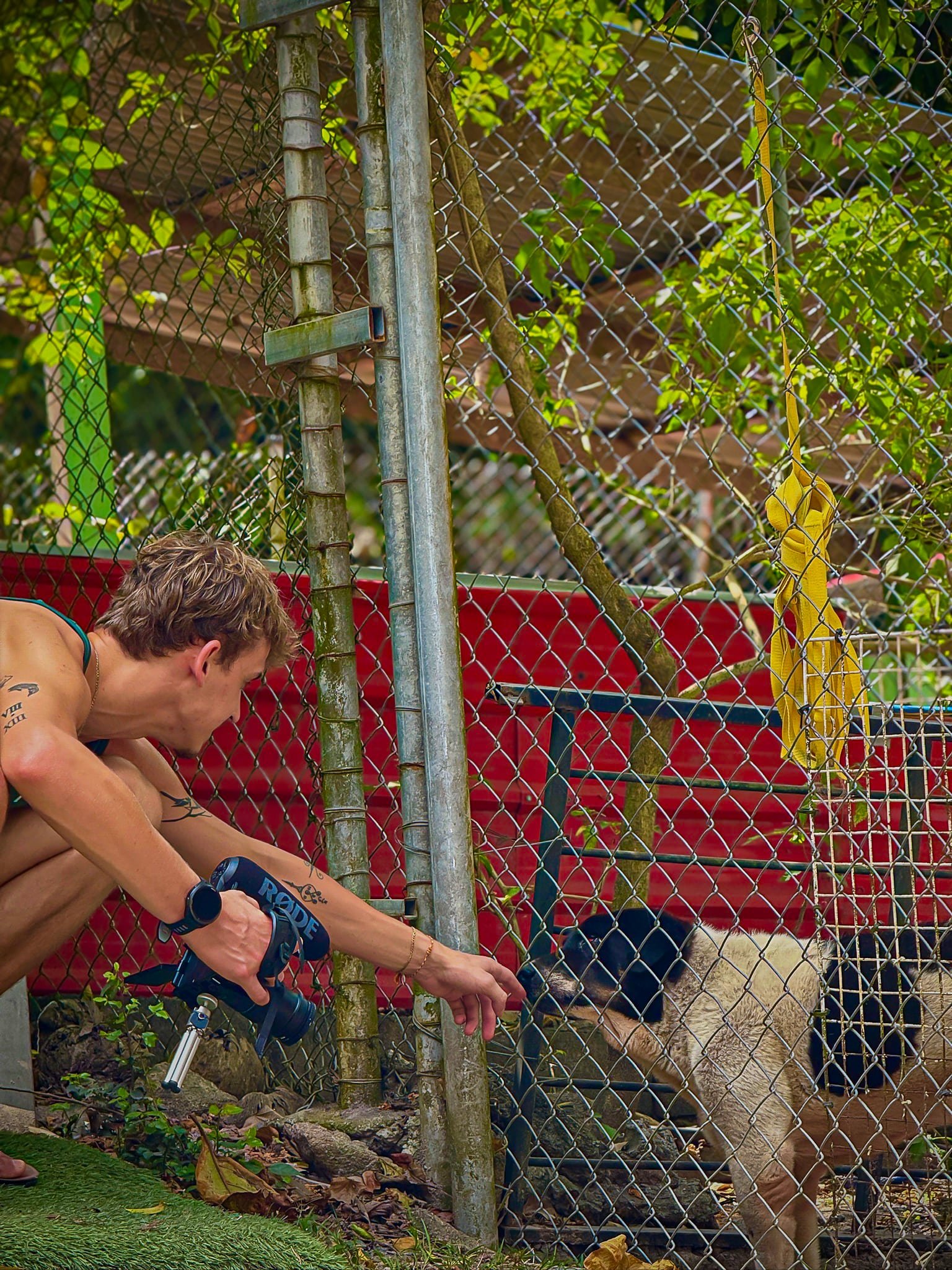 Tom from The Mission Planet CIC feeding a dog at a sanctuary during an animal welfare visit.