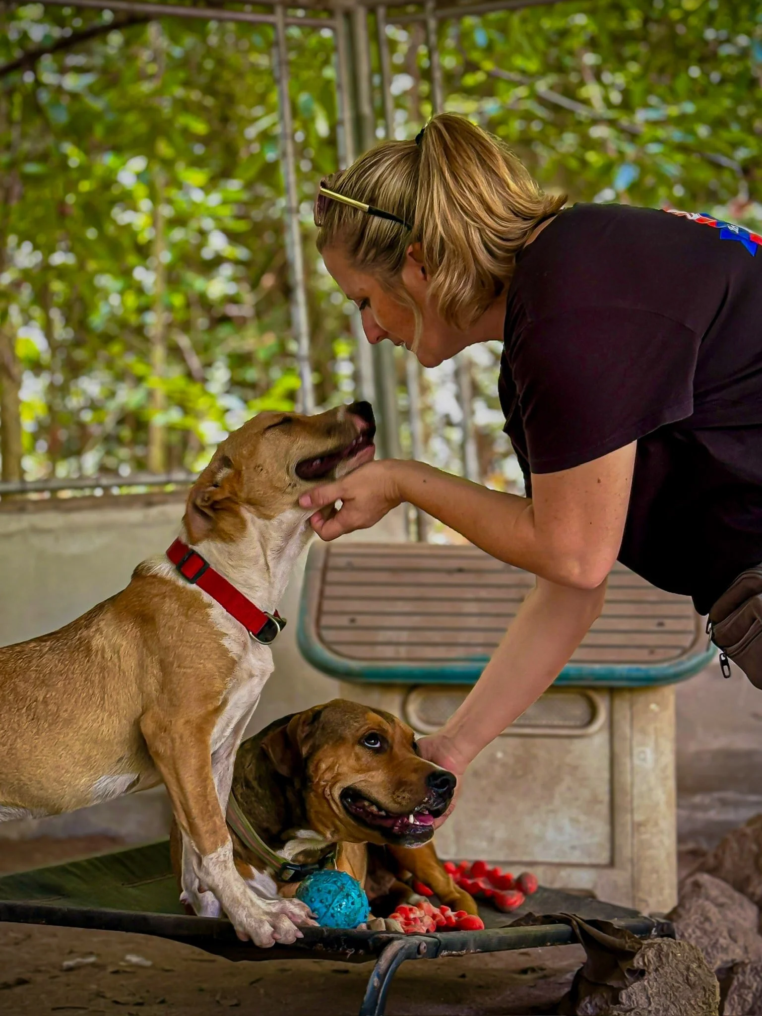 Dog sanctuary founder in Egypt interacting with rescued dogs during an animal welfare initiative supported by The Mission Planet CIC.