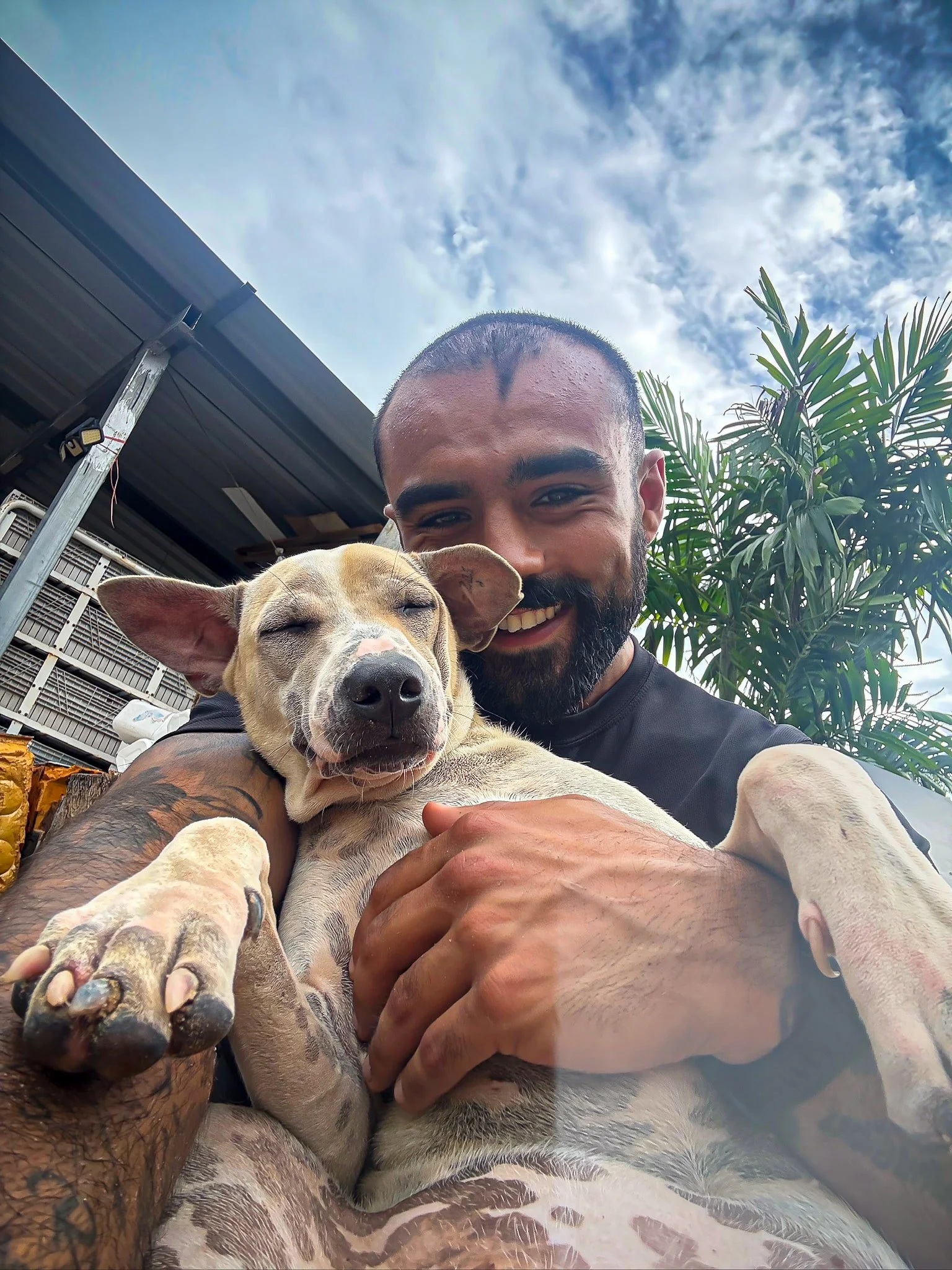 Rohan from The Mission Planet CIC with a rescue dog during an animal welfare initiative.