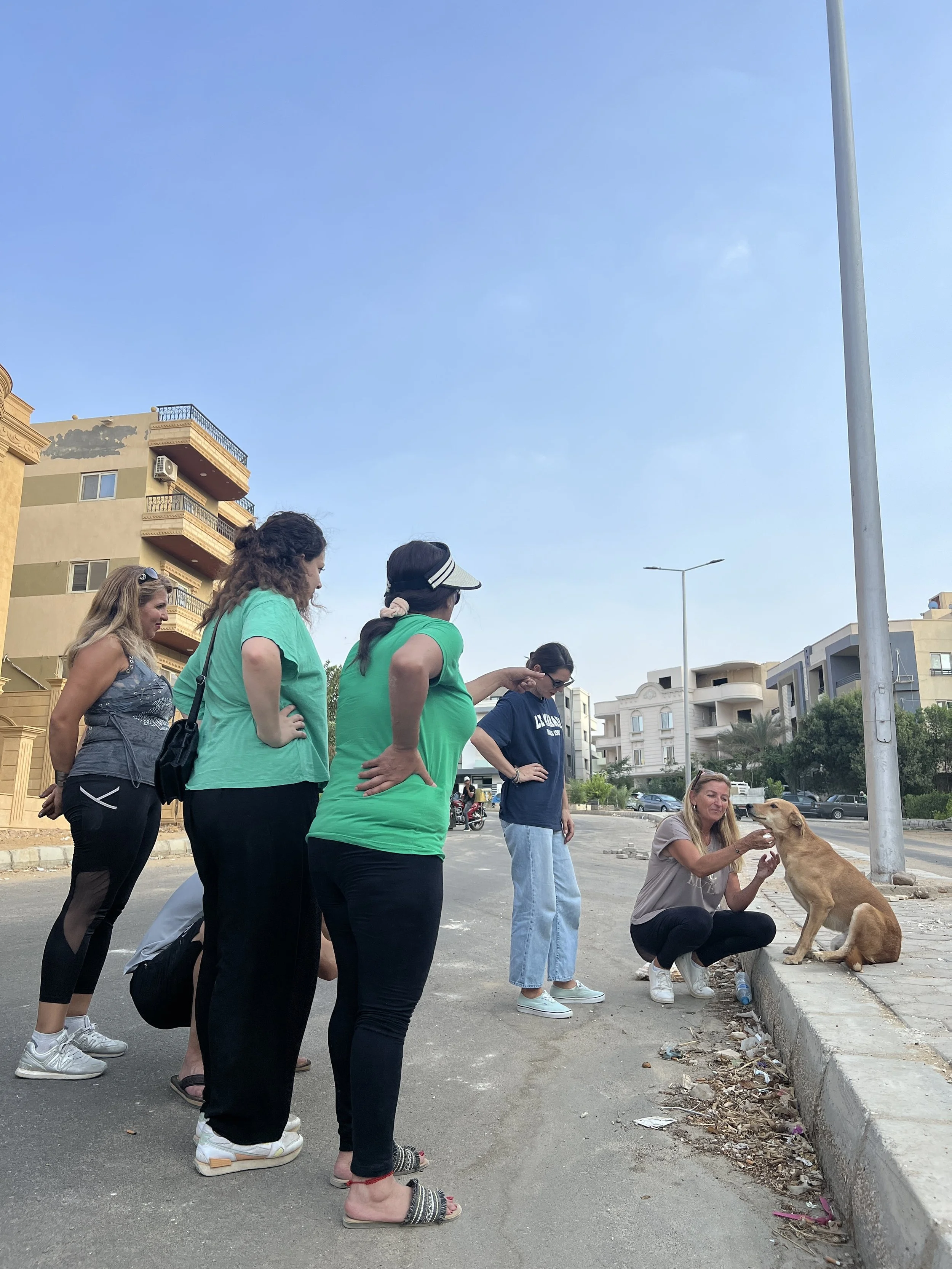Sherouk carrying out TNR (Trap–Neuter–Return) work with a street dog during an animal welfare initiative.