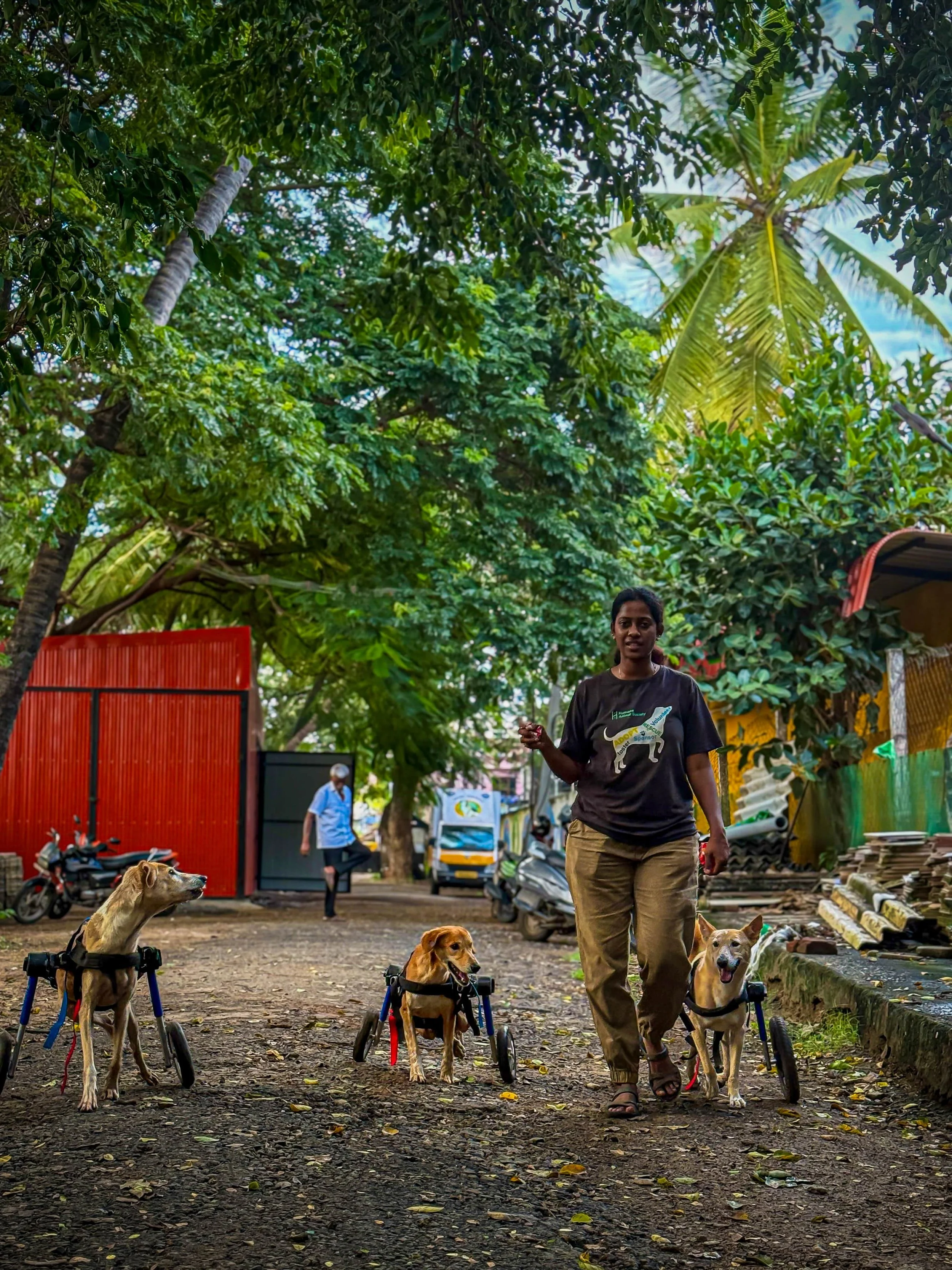 Dr. Mini Vasudevan, founder of Humane Animal Society, caring for disabled dogs during an animal welfare initiative supported by The Mission Planet CIC.