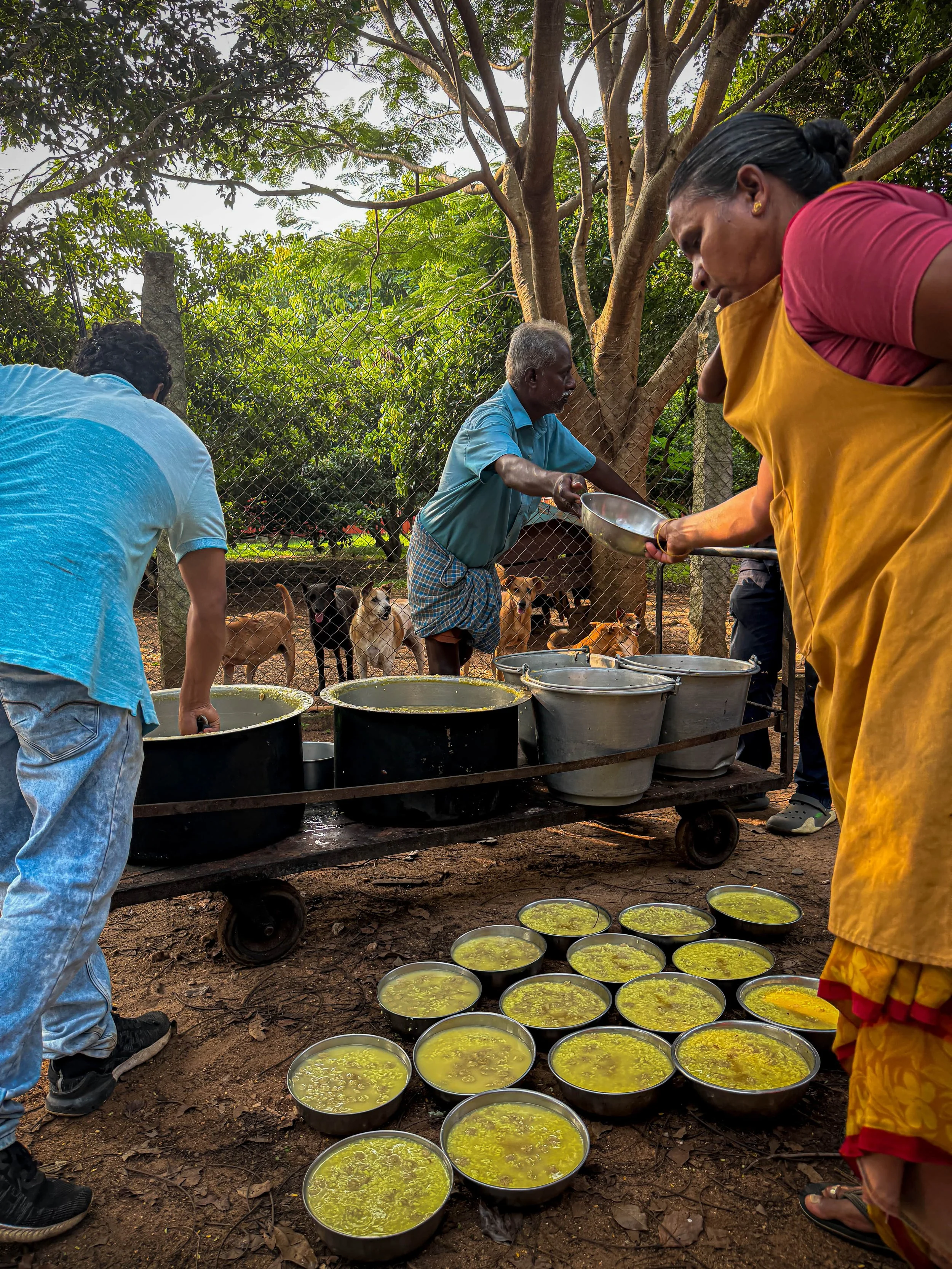 Community members preparing and serving food during an outdoor animal welfare initiative, with dogs cared for nearby.