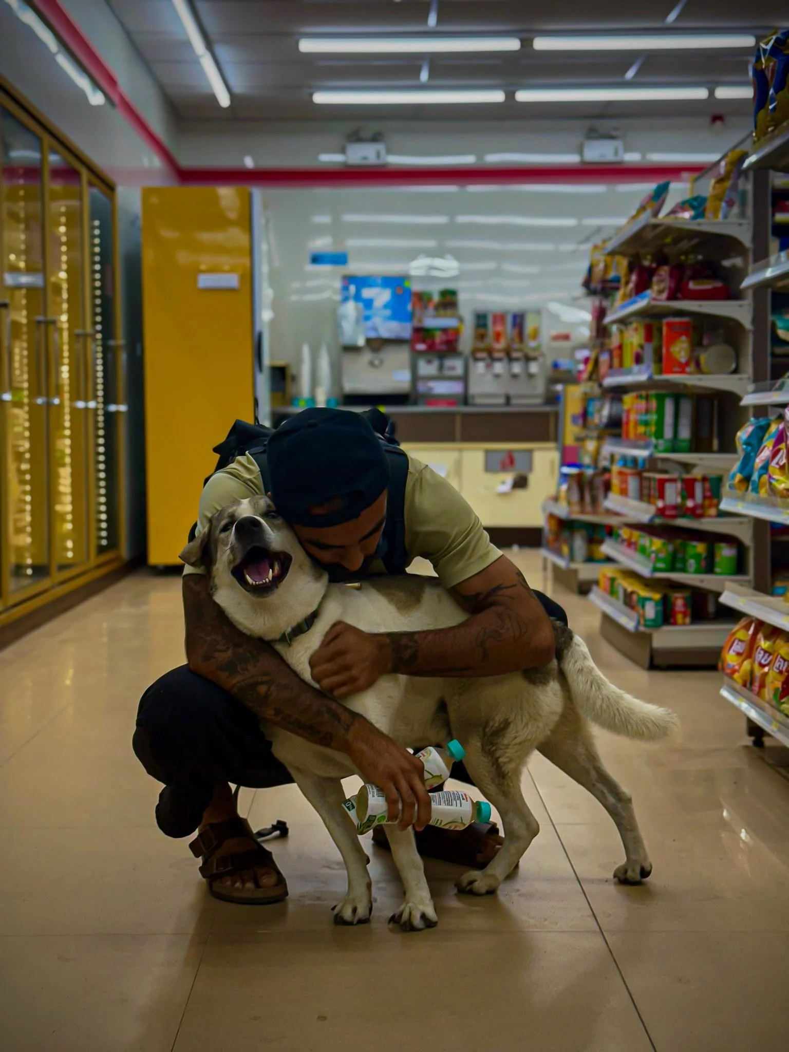 Rohan from The Mission Planet CIC spending time with a dog during an animal welfare visit in Thailand.