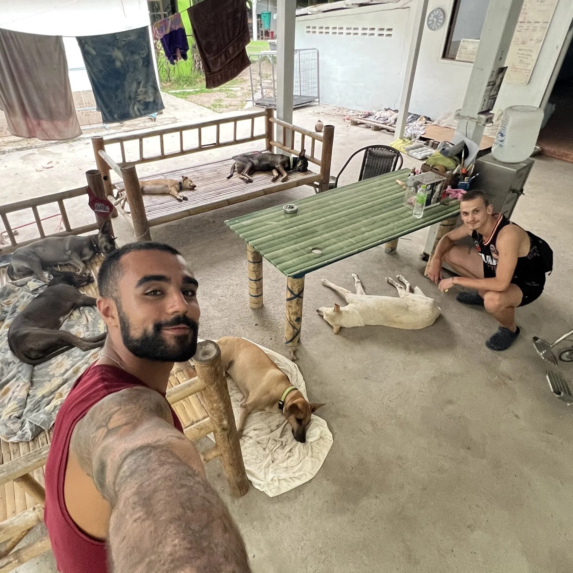 Rohan and Tom spending time with rescued street dogs indoors during a Mission Planet animal welfare mission