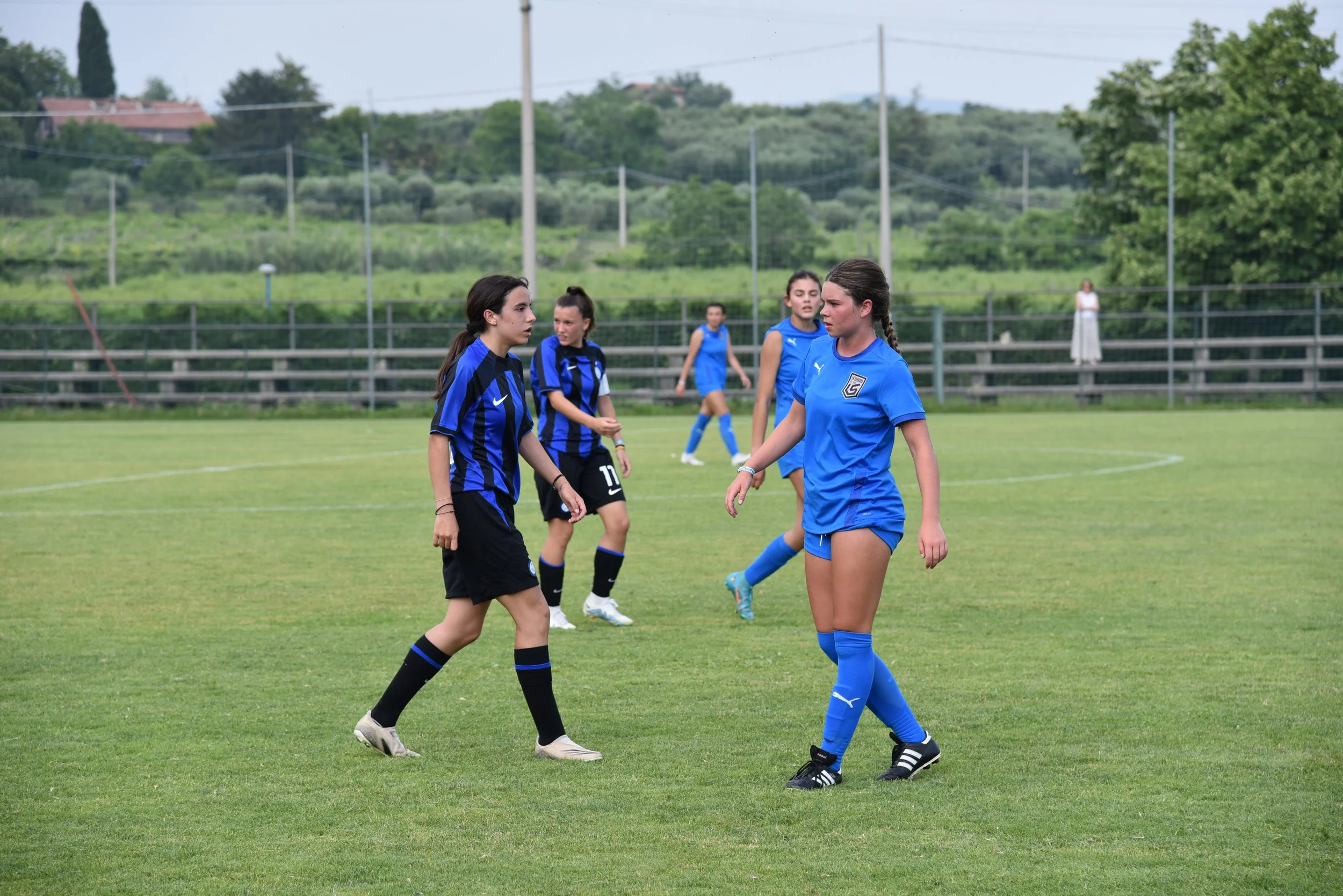 DSC_7587.JPG