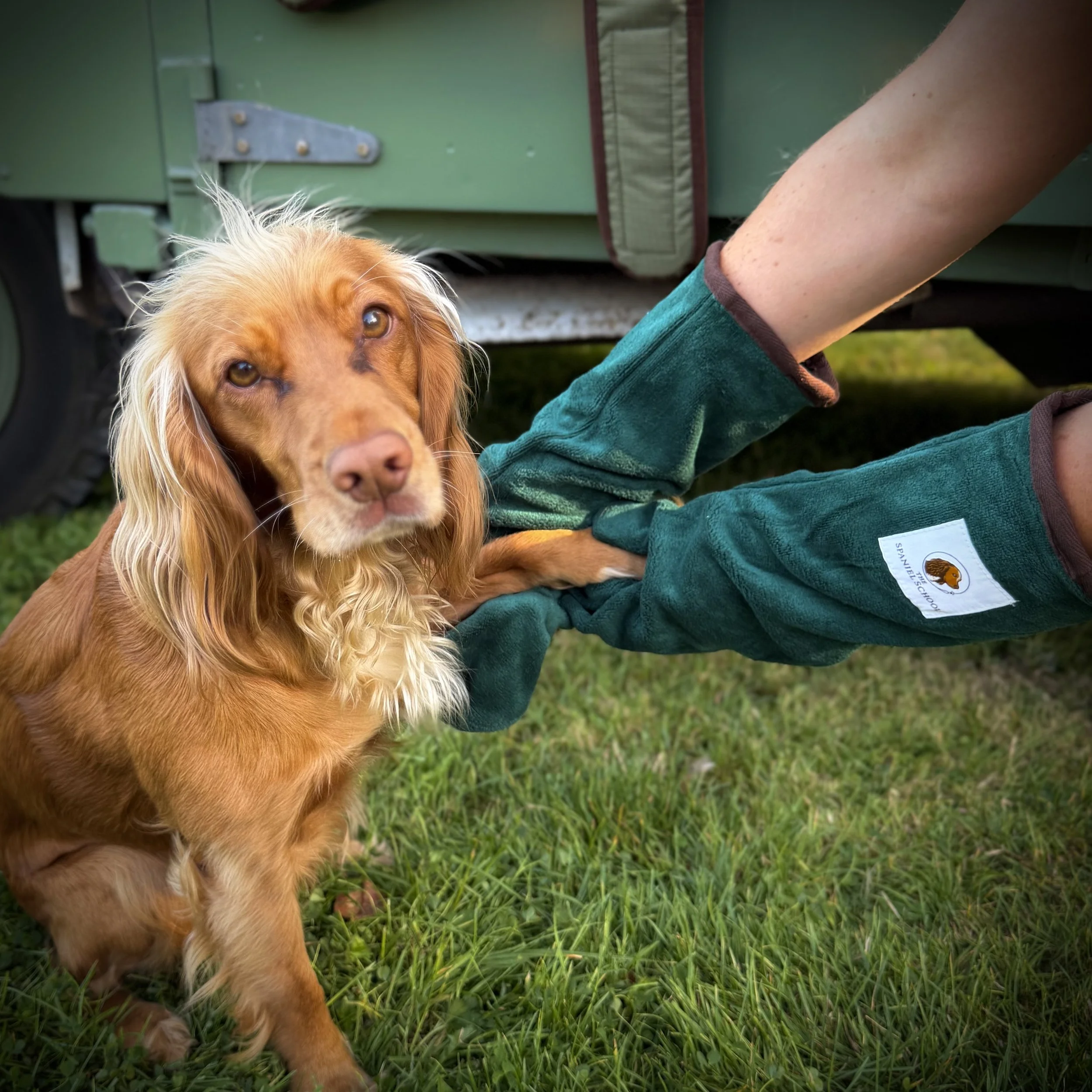 The Soggy Spaniel™ Drying Mitts